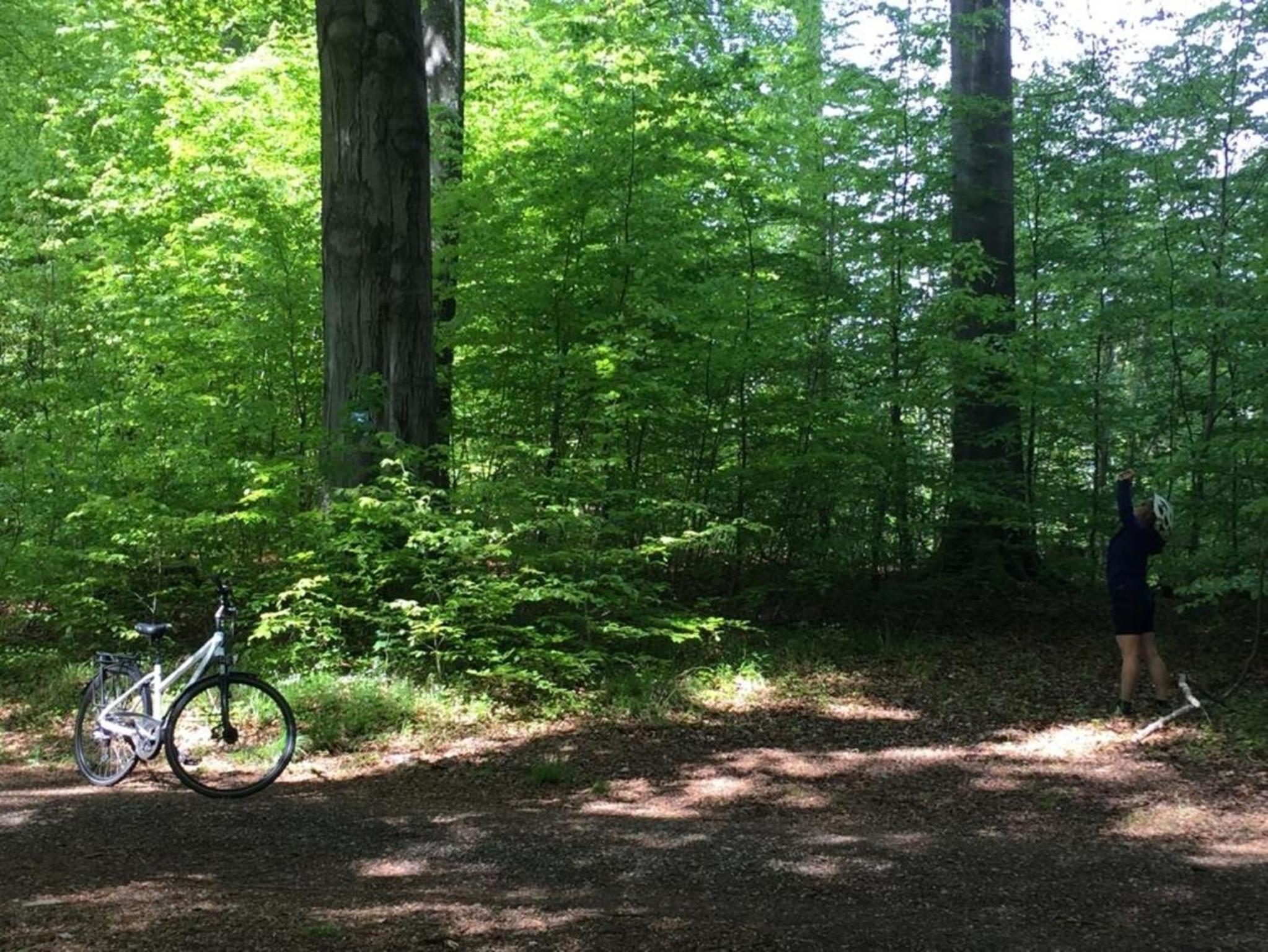 Ferienwohnung Turmblick
