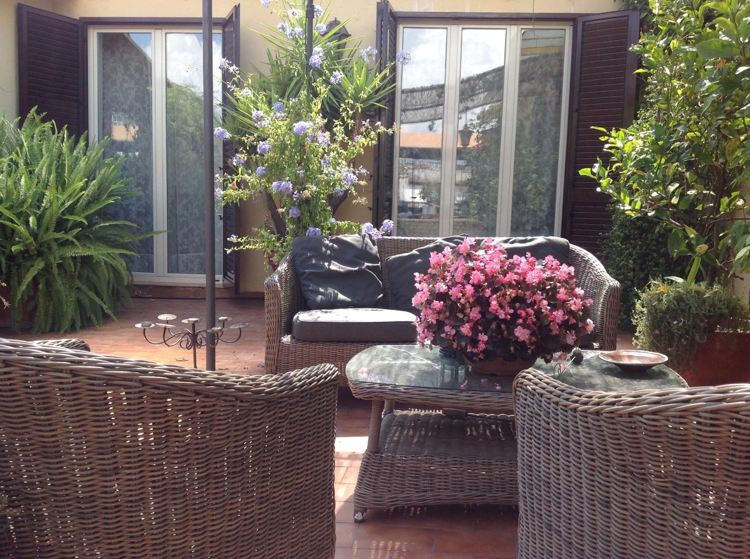 balance & terrace