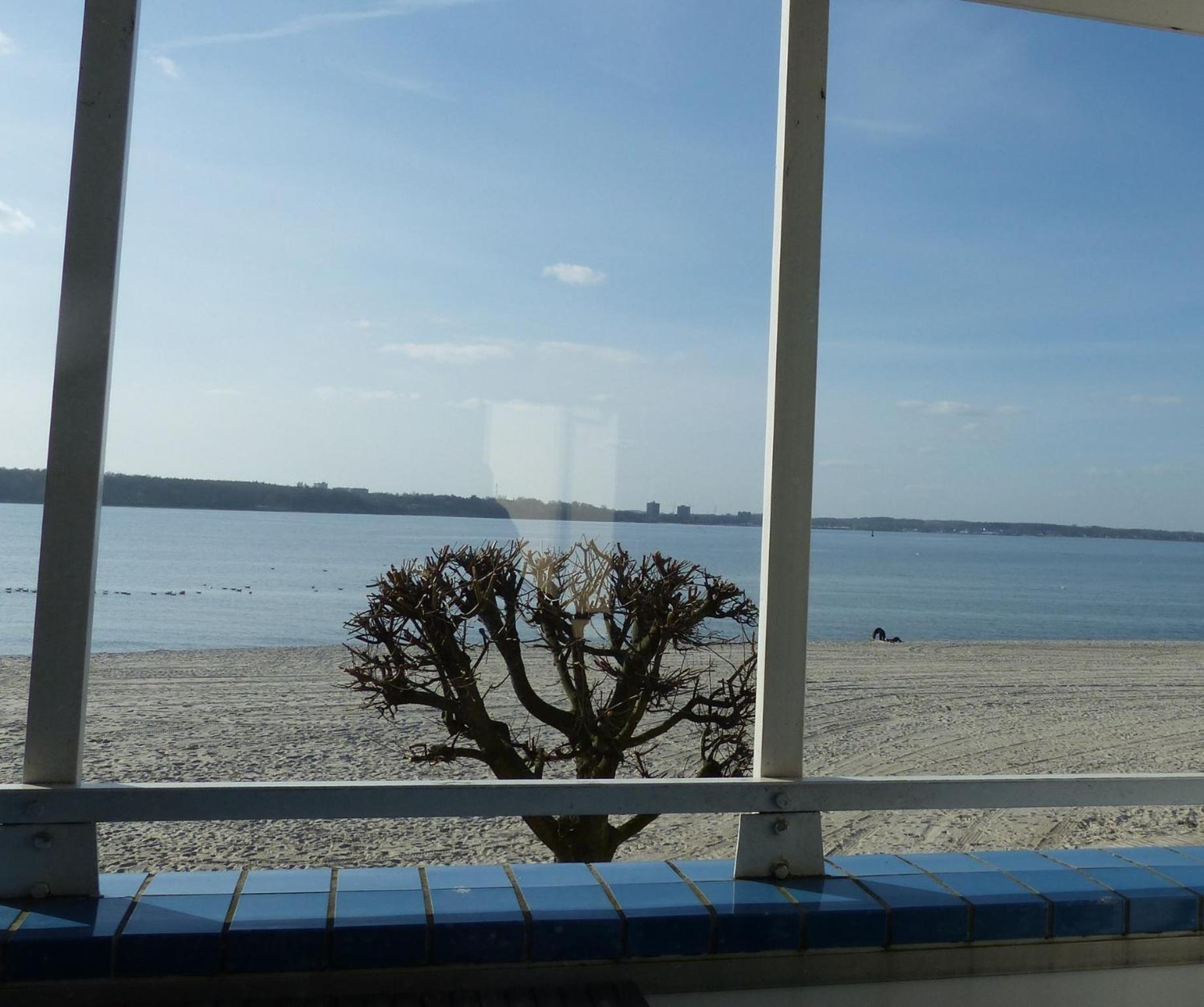 Zugvogel view 4