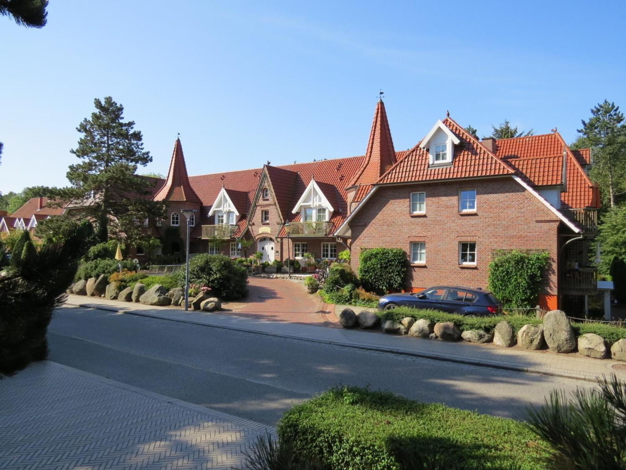 Nachtkerze view 5