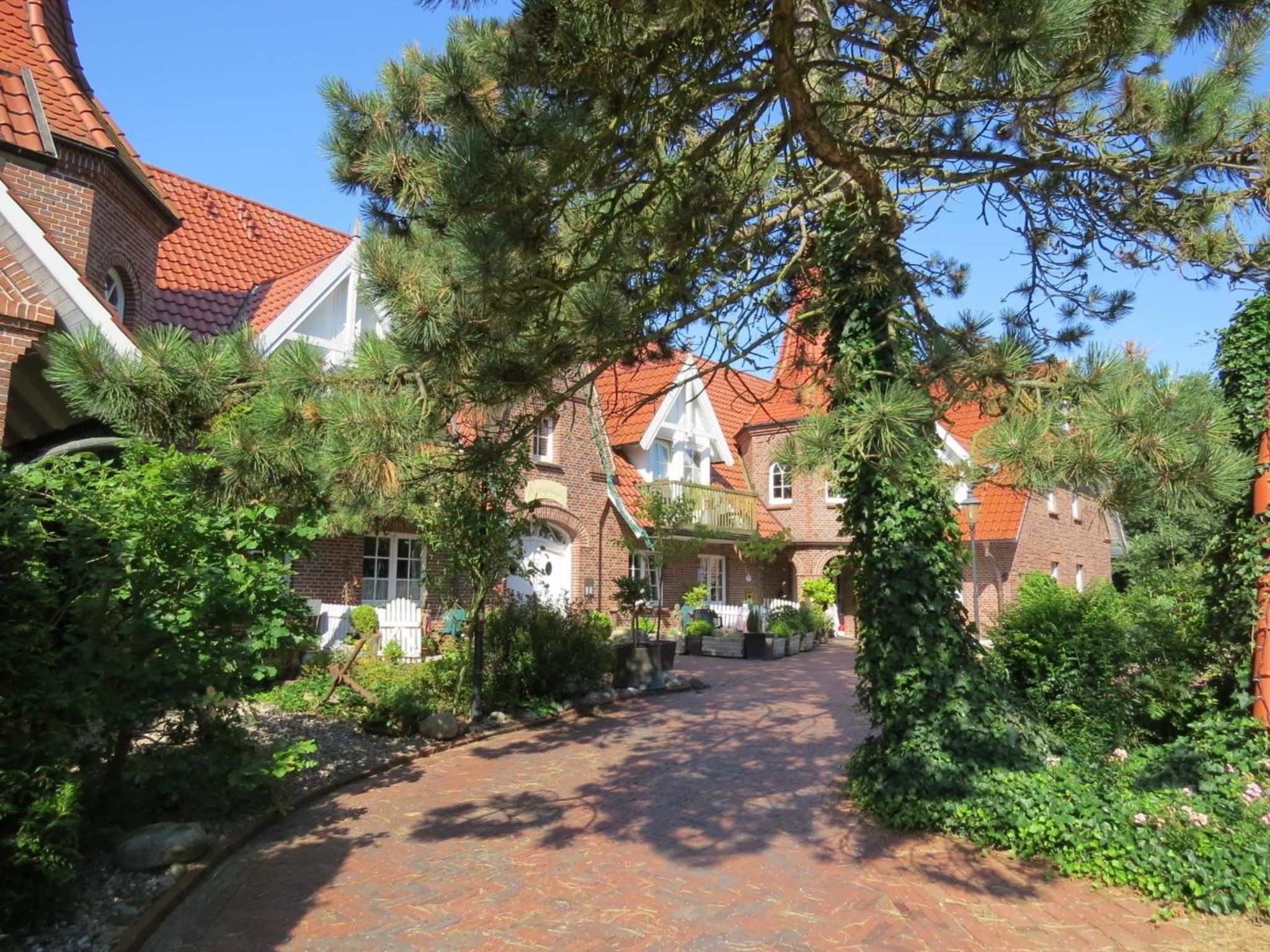 Nachtkerze view 4