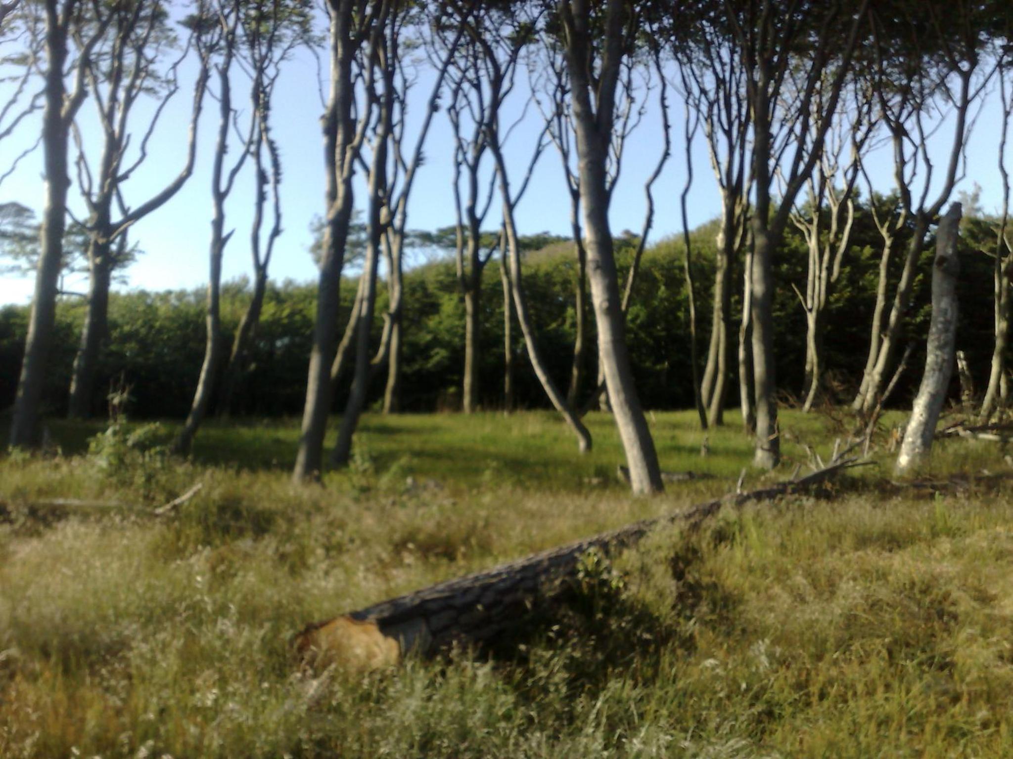 Photo 13