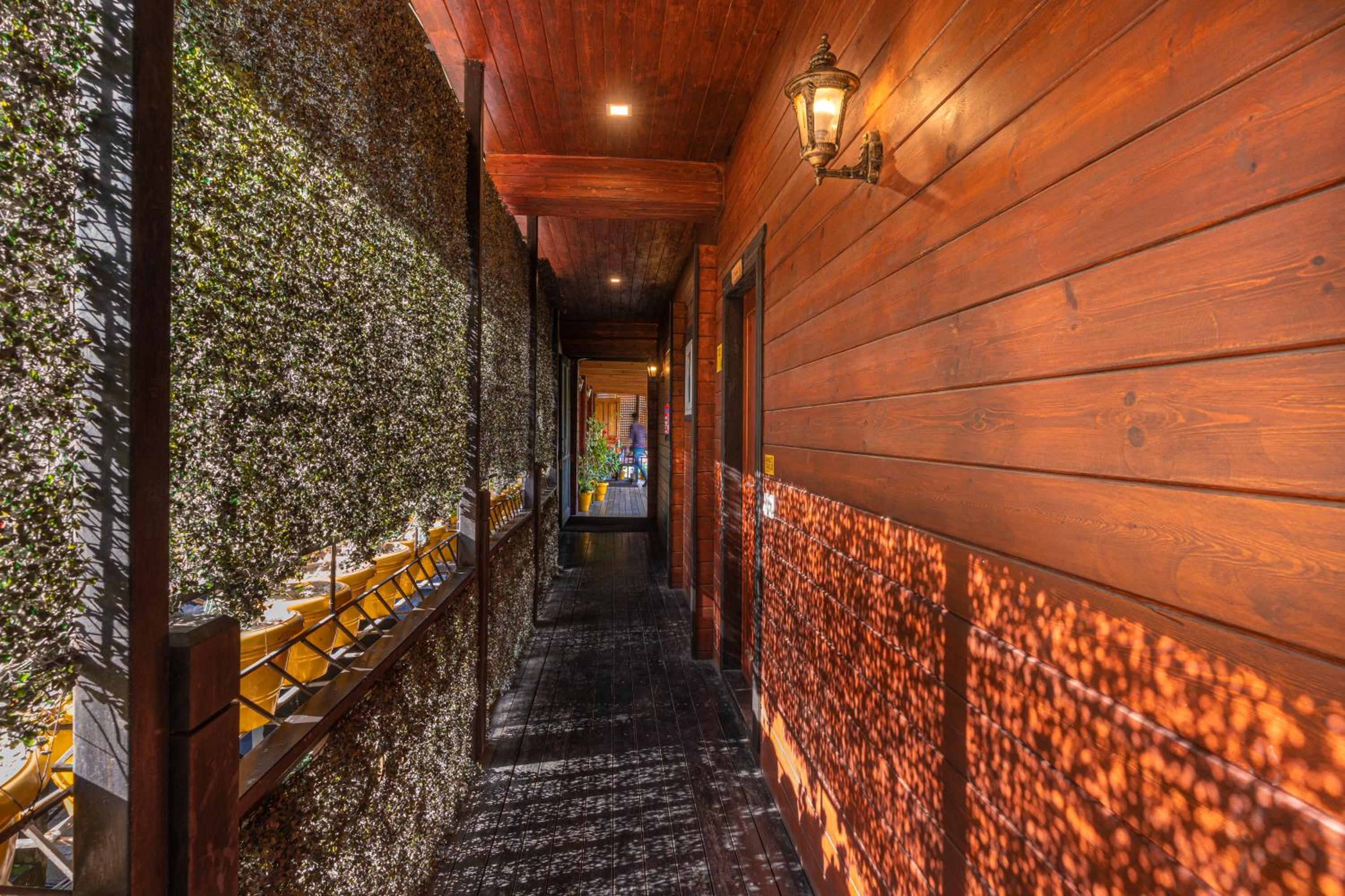 The Hosteller Kasar Devi view 5
