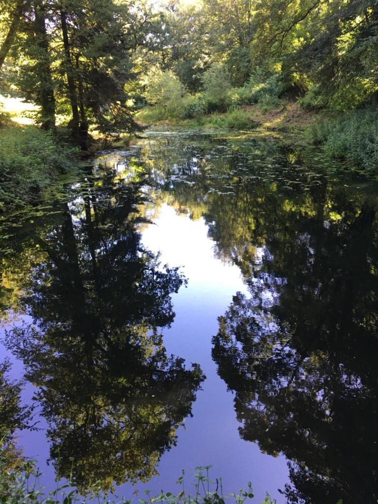 Photo 38
