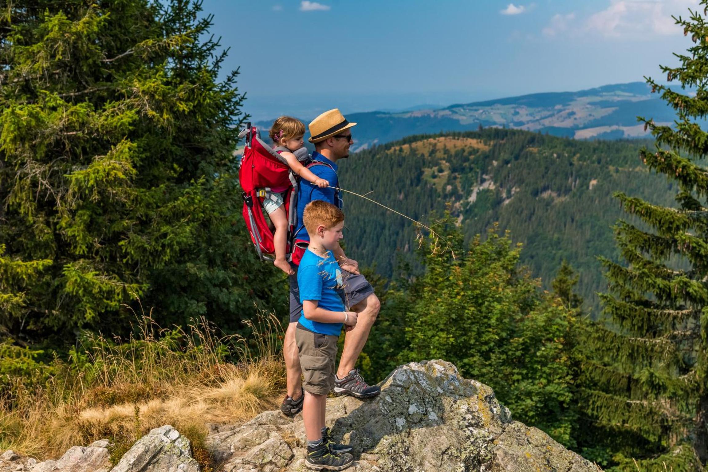 Schwarzwaldliebe view 5