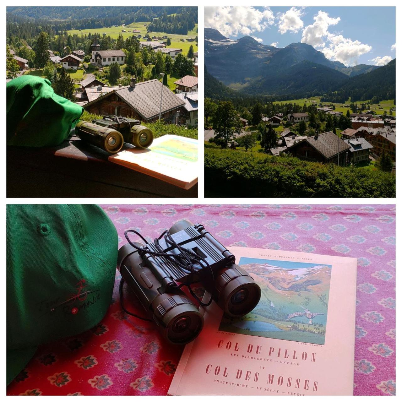 Studio avec vue splendide sur les Diablerets