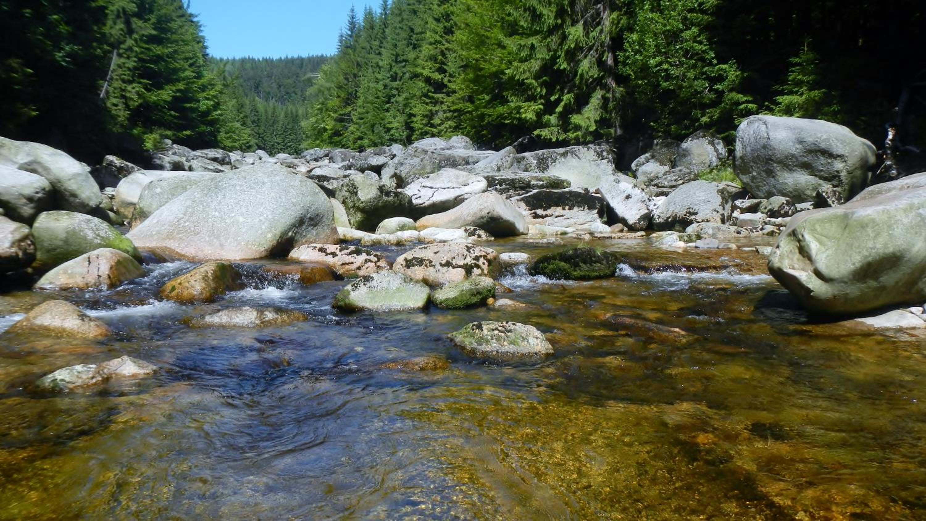Penzion Kapitanka