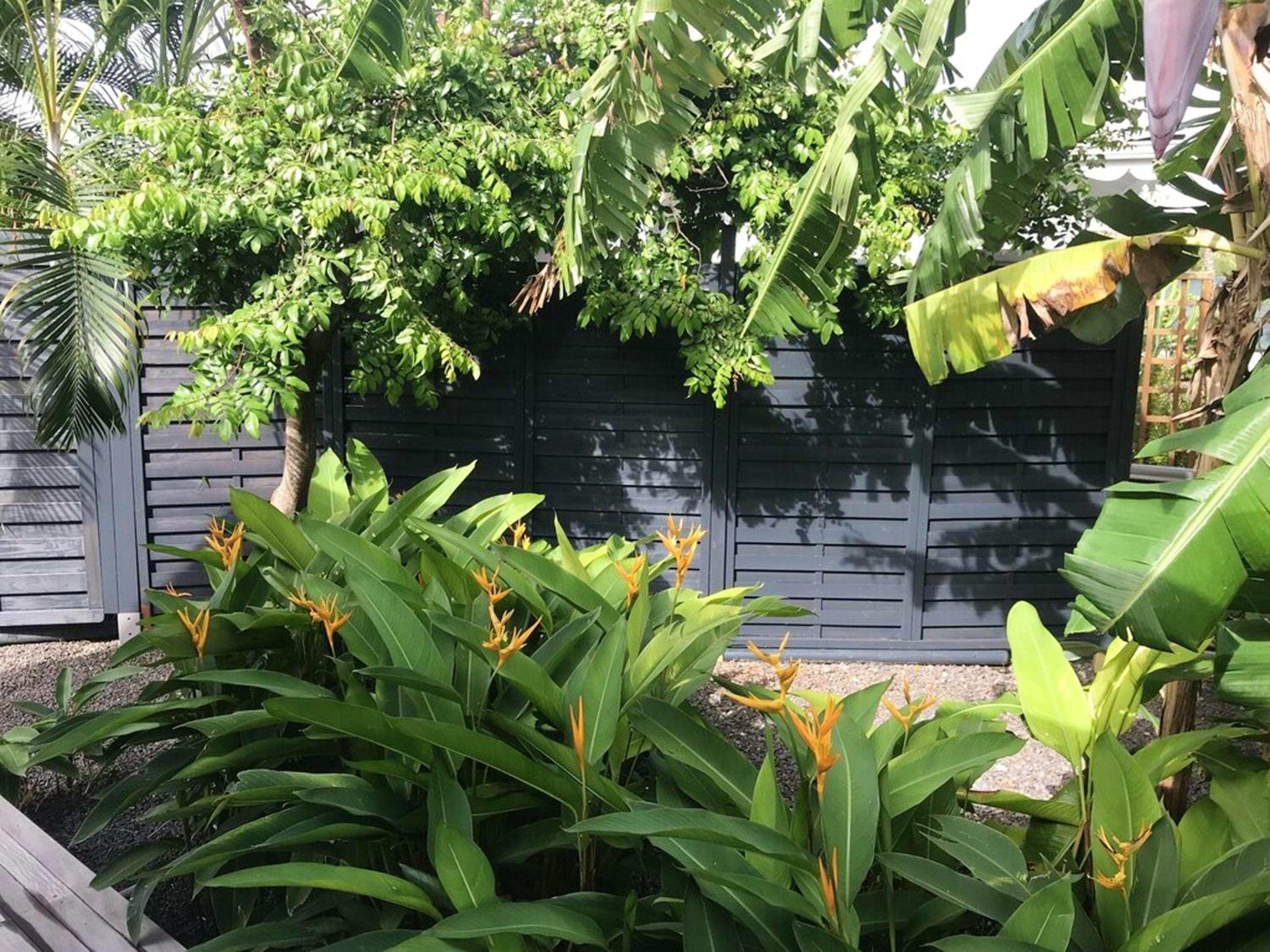 Bungalow charmant a St Francois + piscine view 4