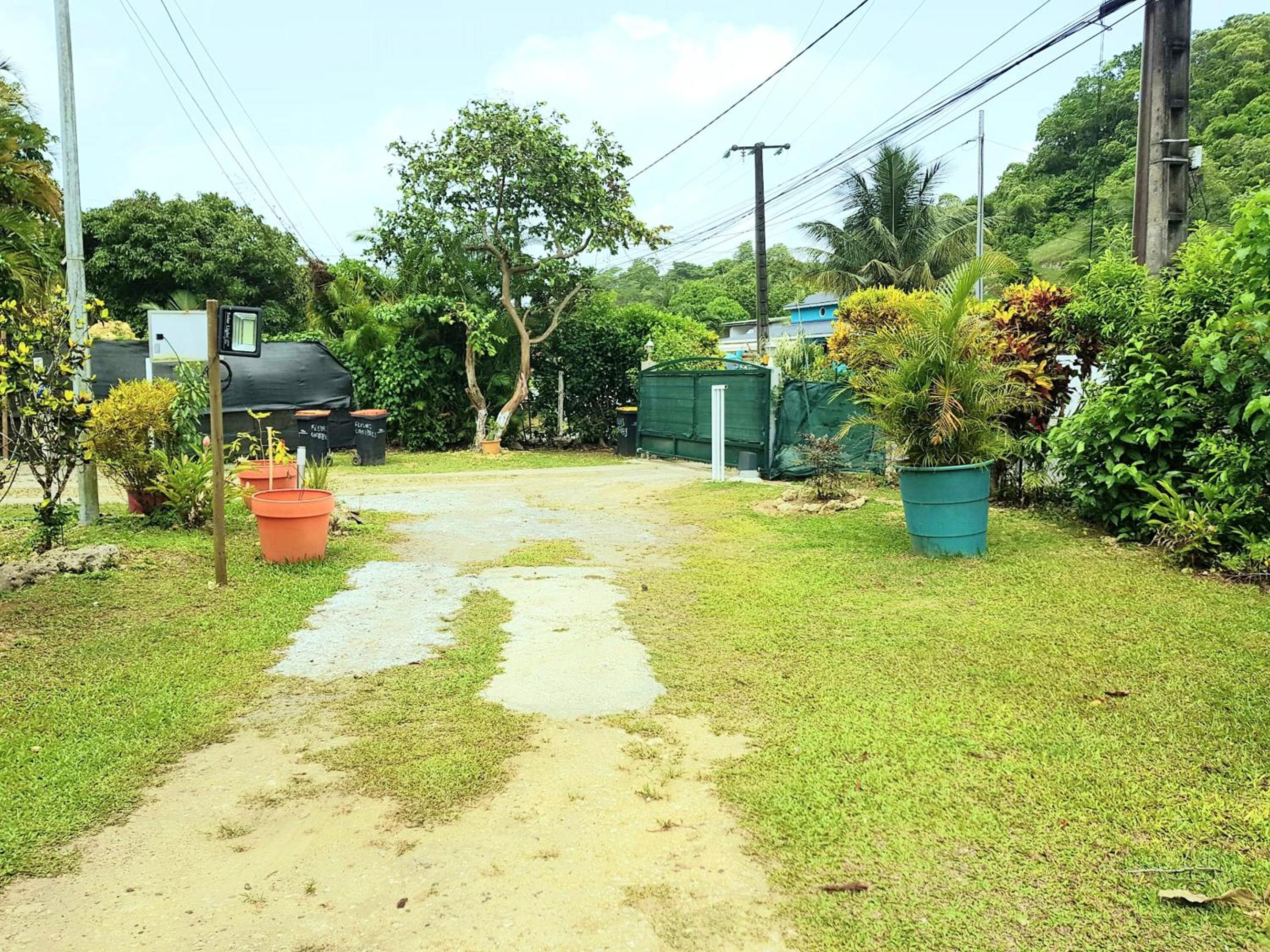 Photo 16