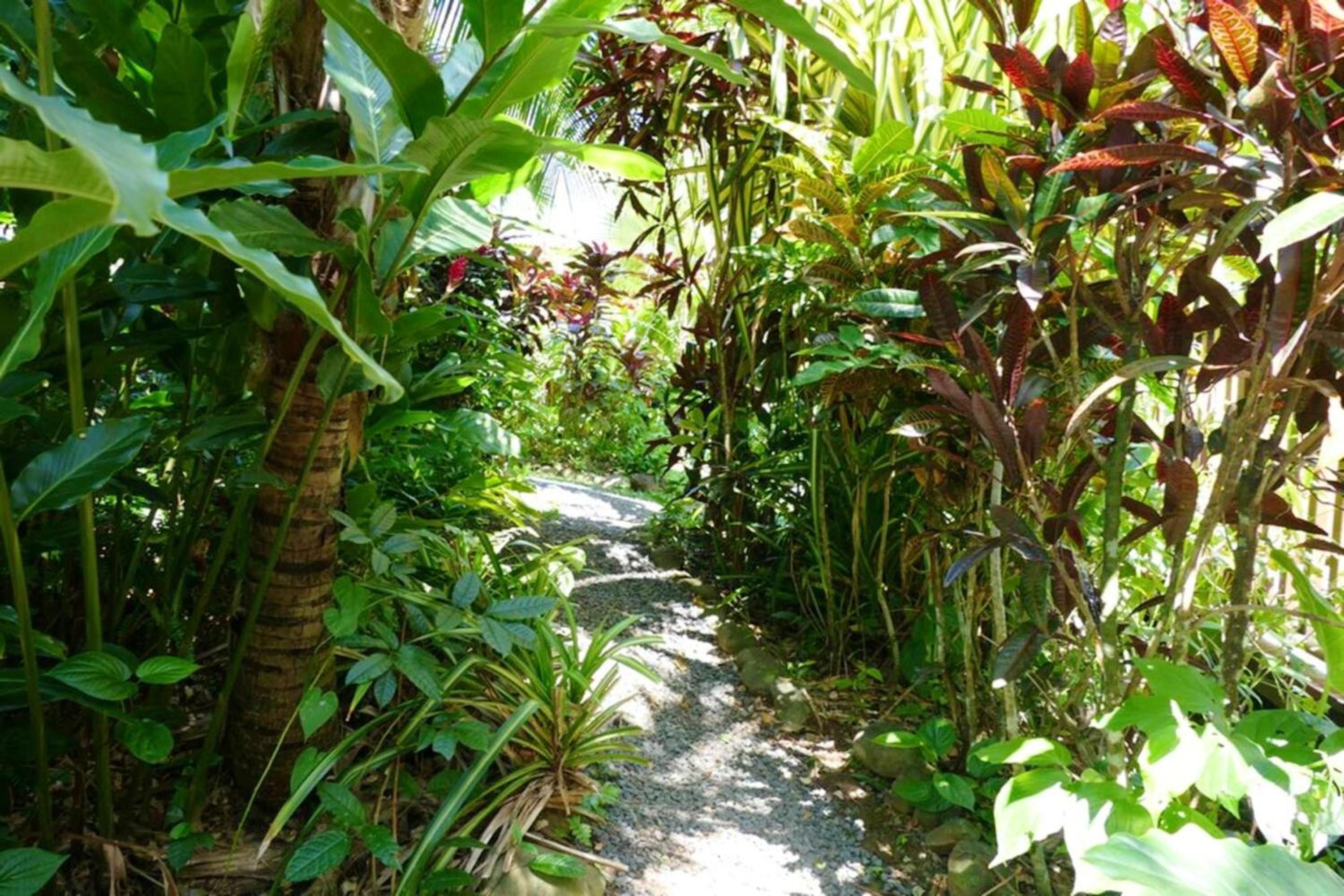 Photo 9