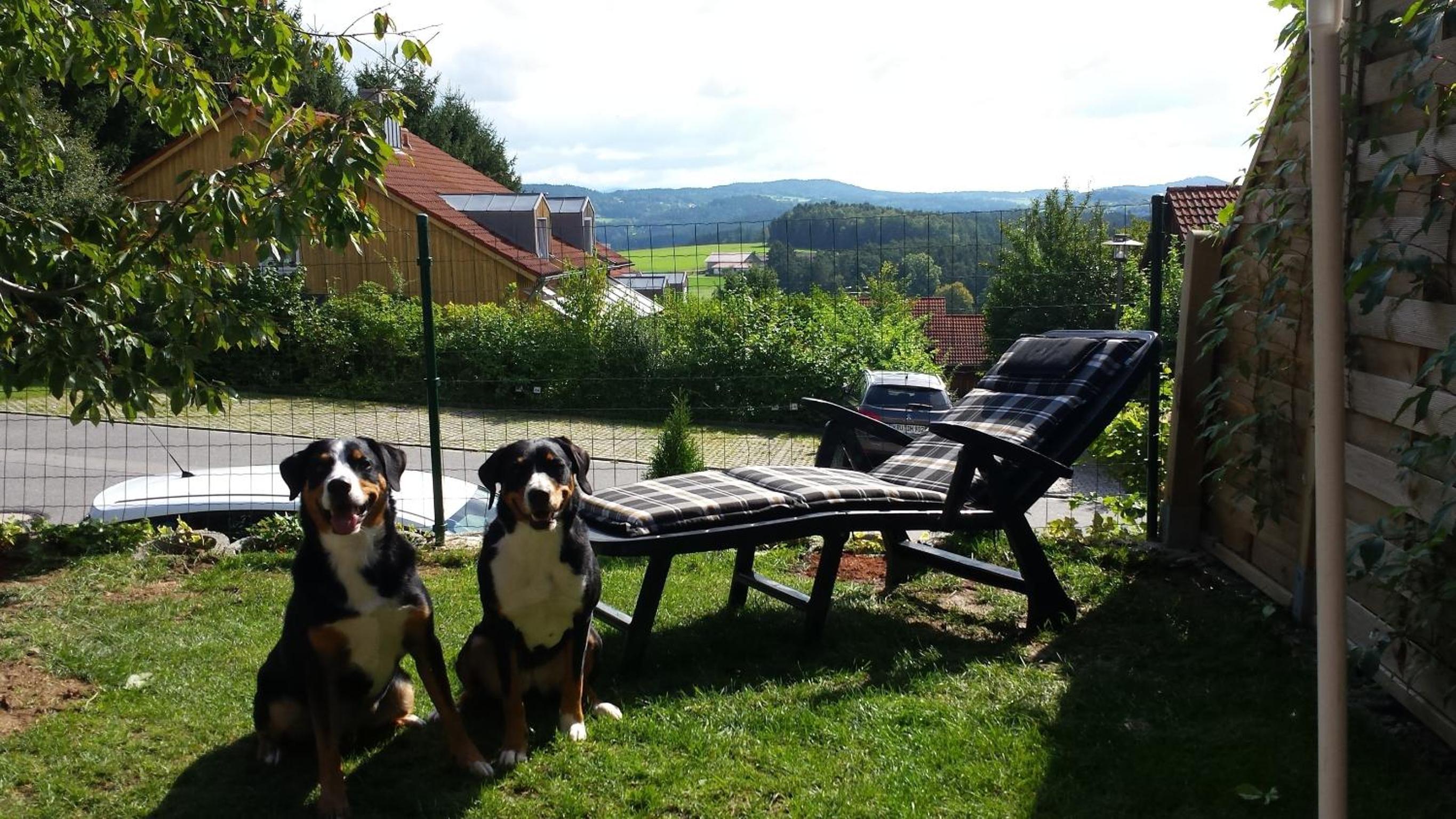 Ferienhaus Tine am Schlossberg in Zandt view 3