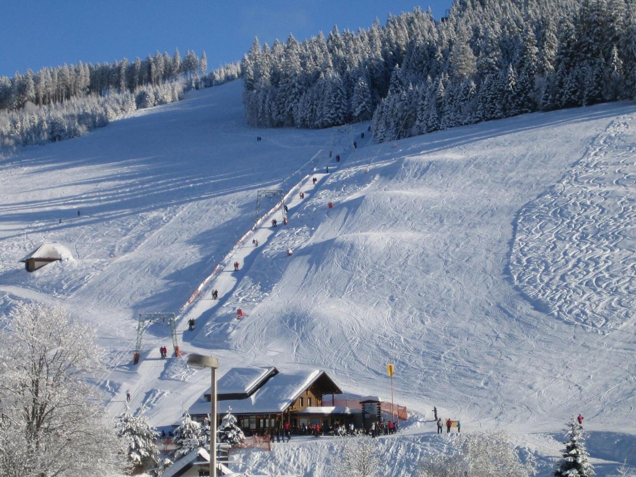 Bühlhof Todtnauberg Gästehaus Wohnung 4