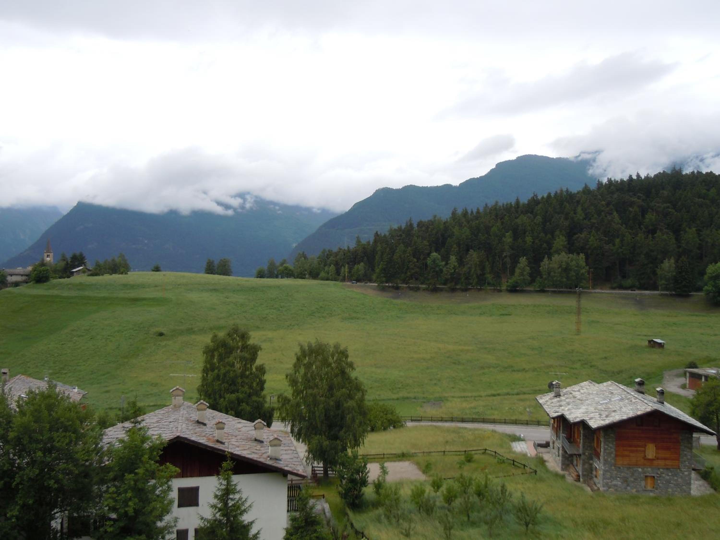 Photo 51