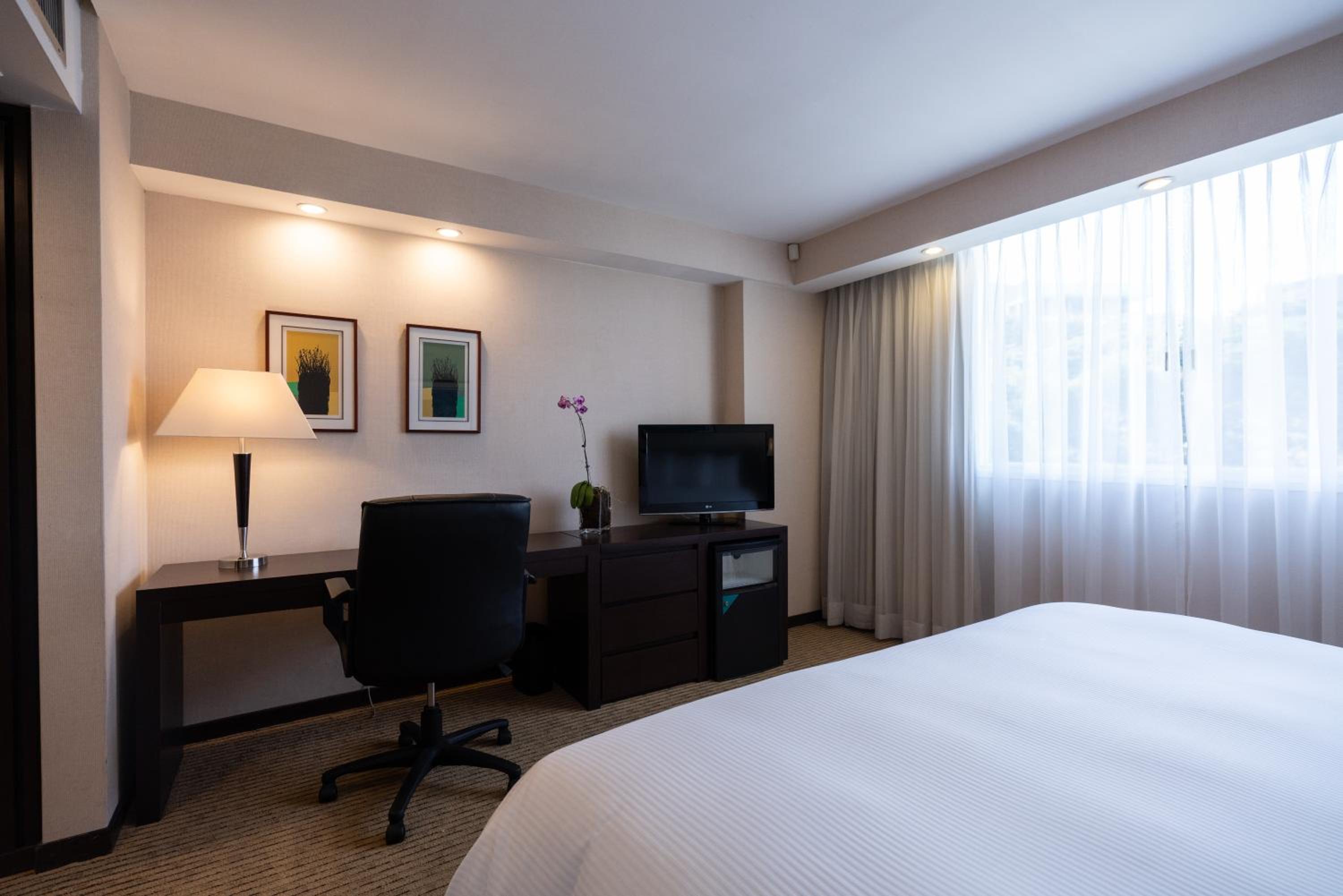 Caracas Vacations - Eurobuilding Hotel  Suites Caracas - Property Image 6