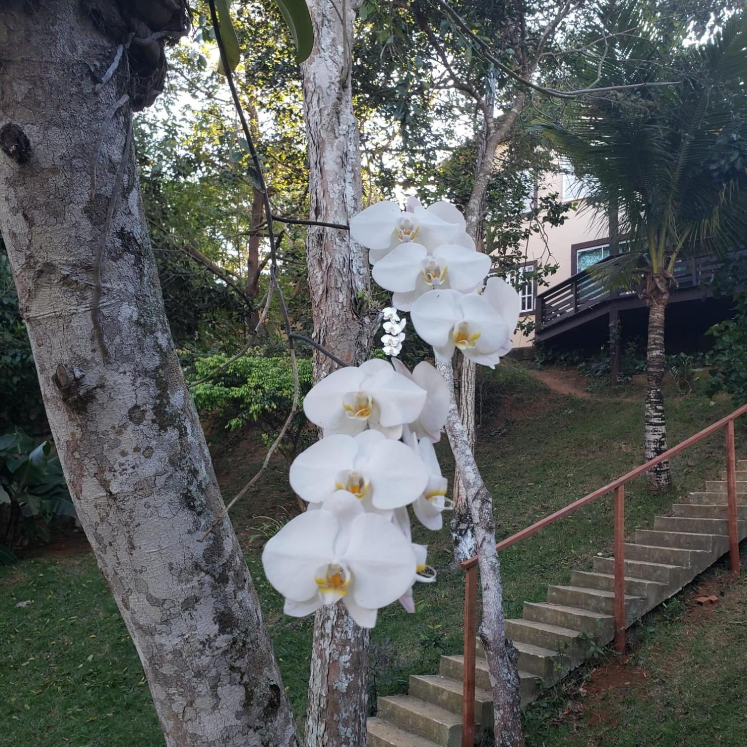 Recanto da Ferradura