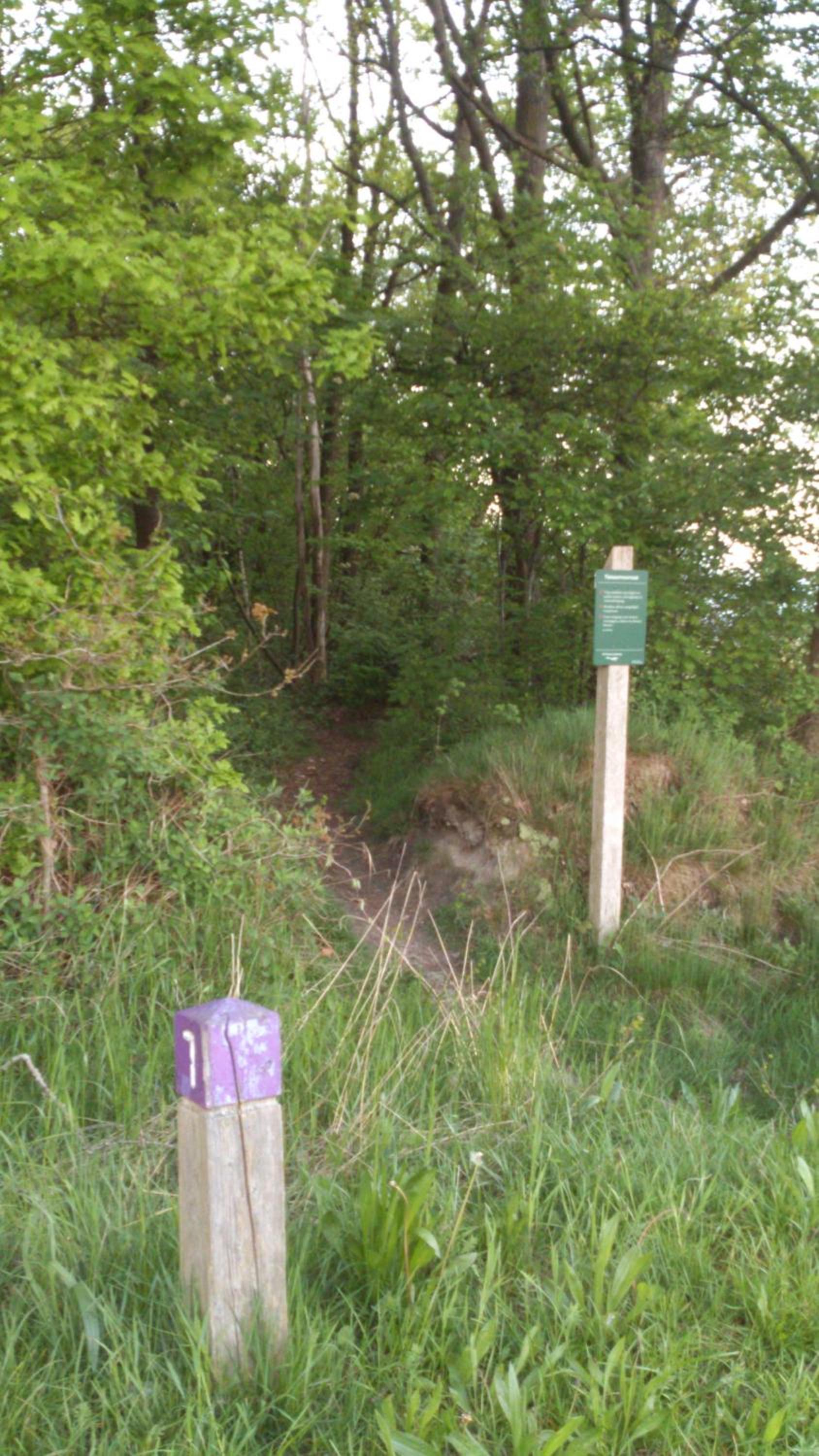 Photo 35