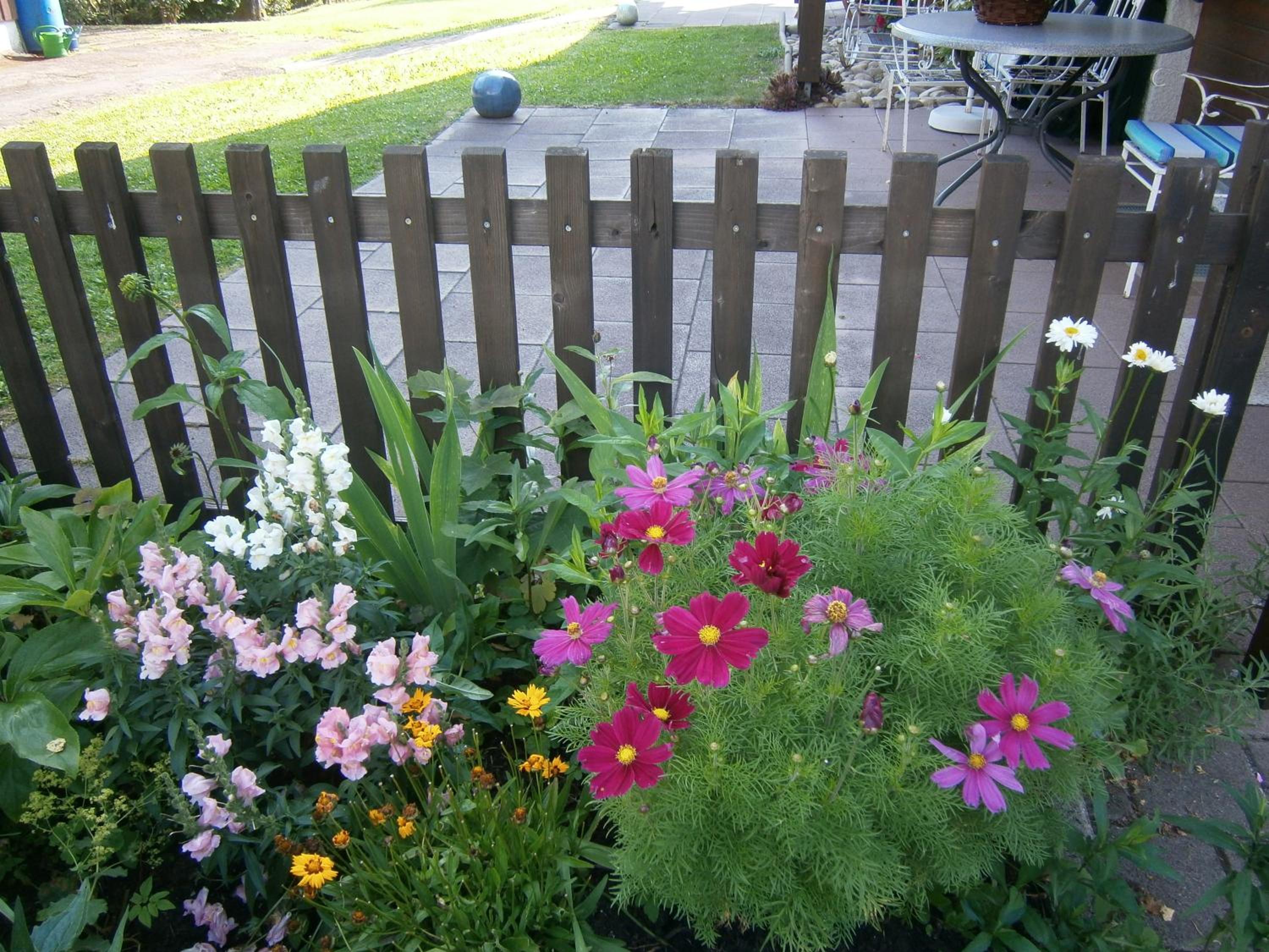 Photo 16
