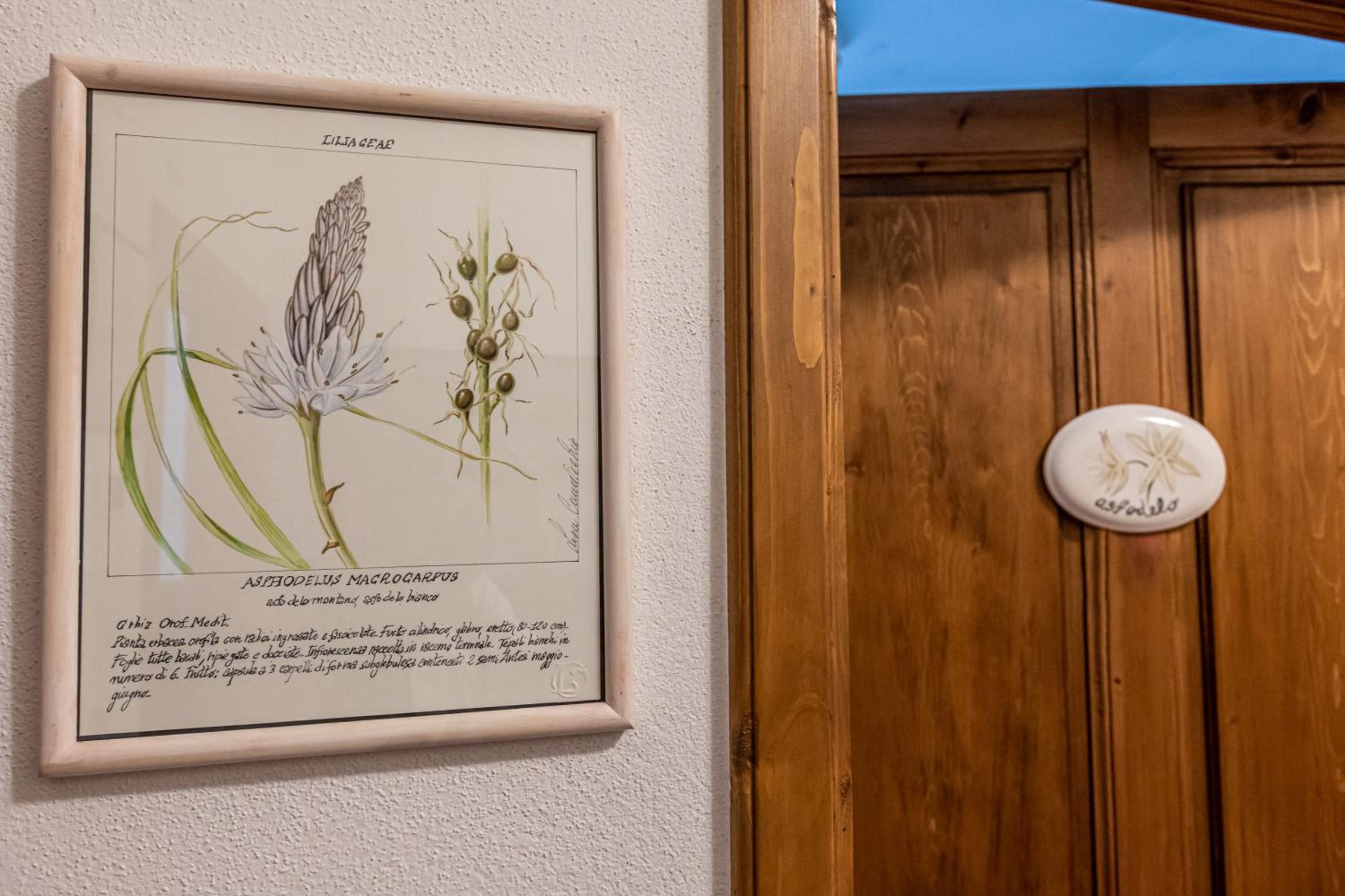 La Locanda di Adele - Il Giardinetto B&B