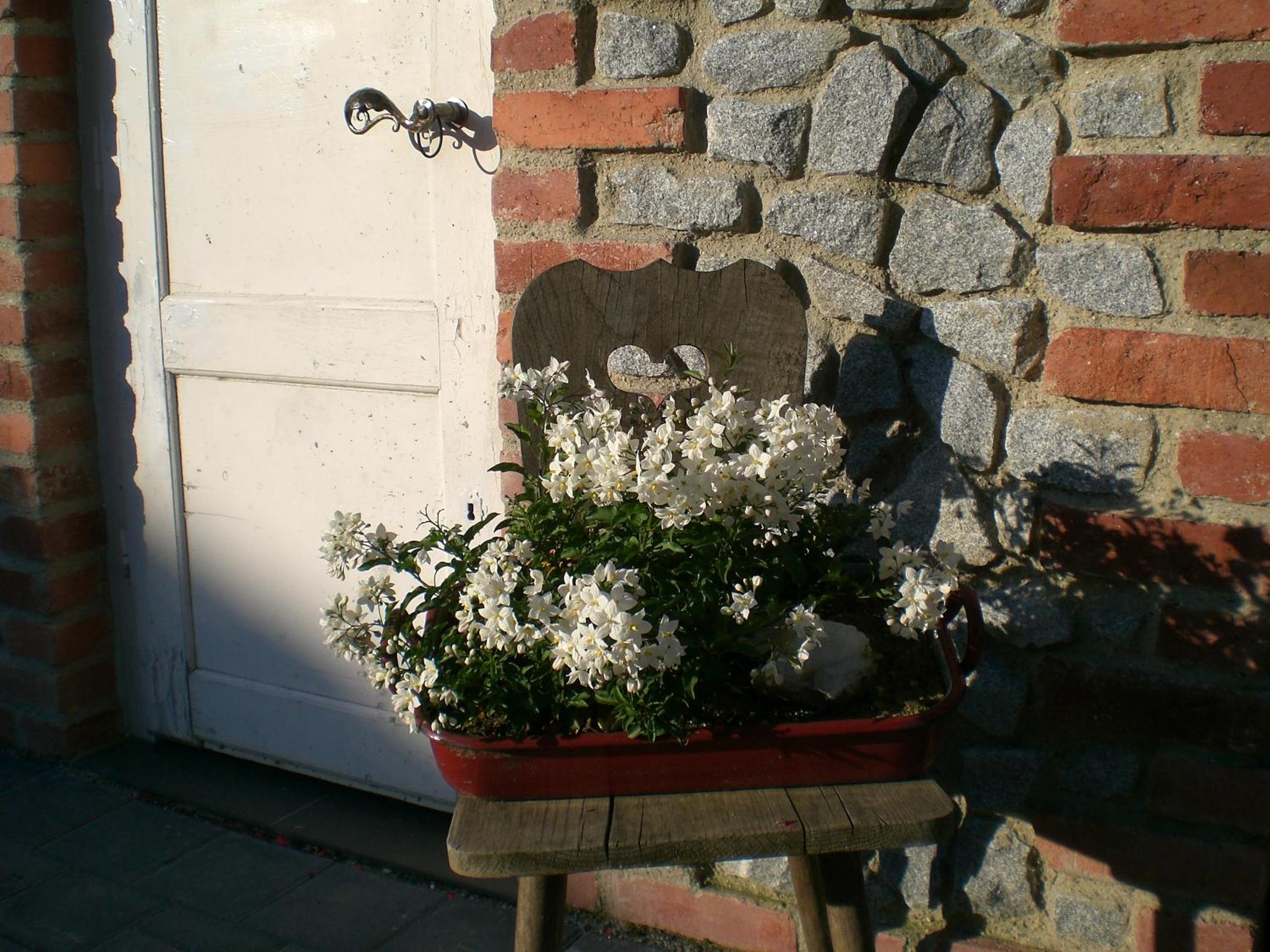 Pension Schuasterhof