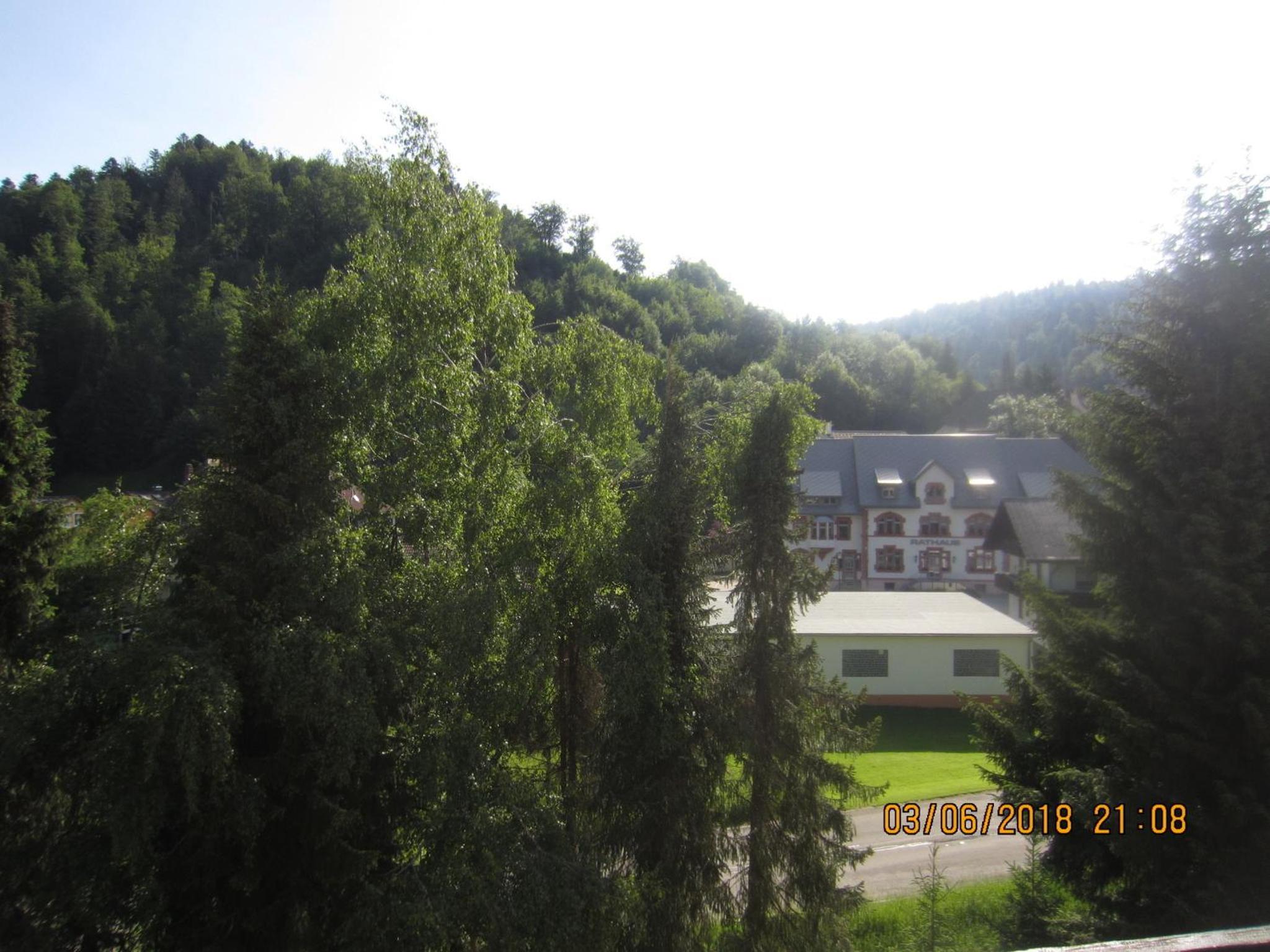 Ferienwohnung Todtmoos view 4