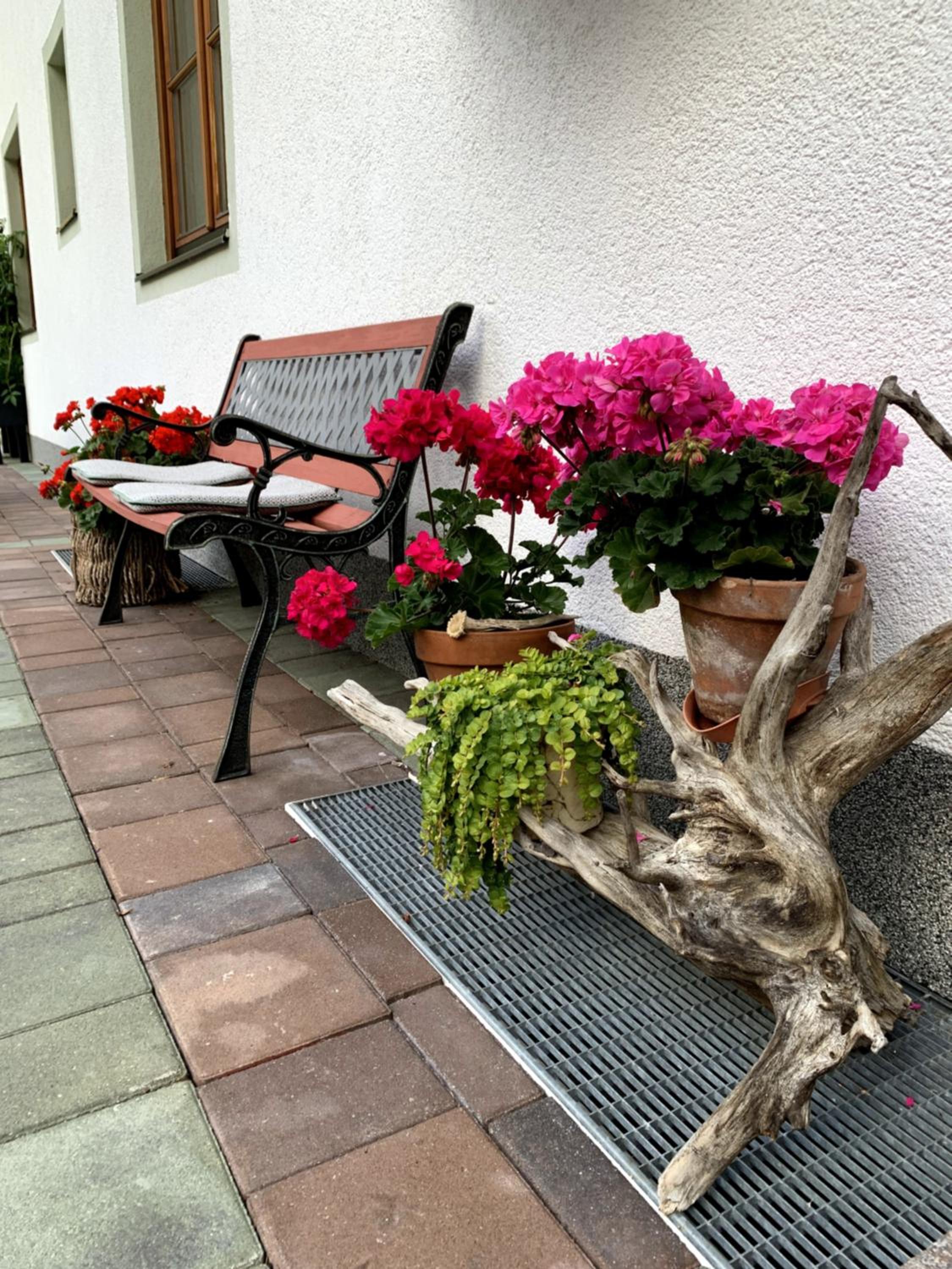 Photo 27
