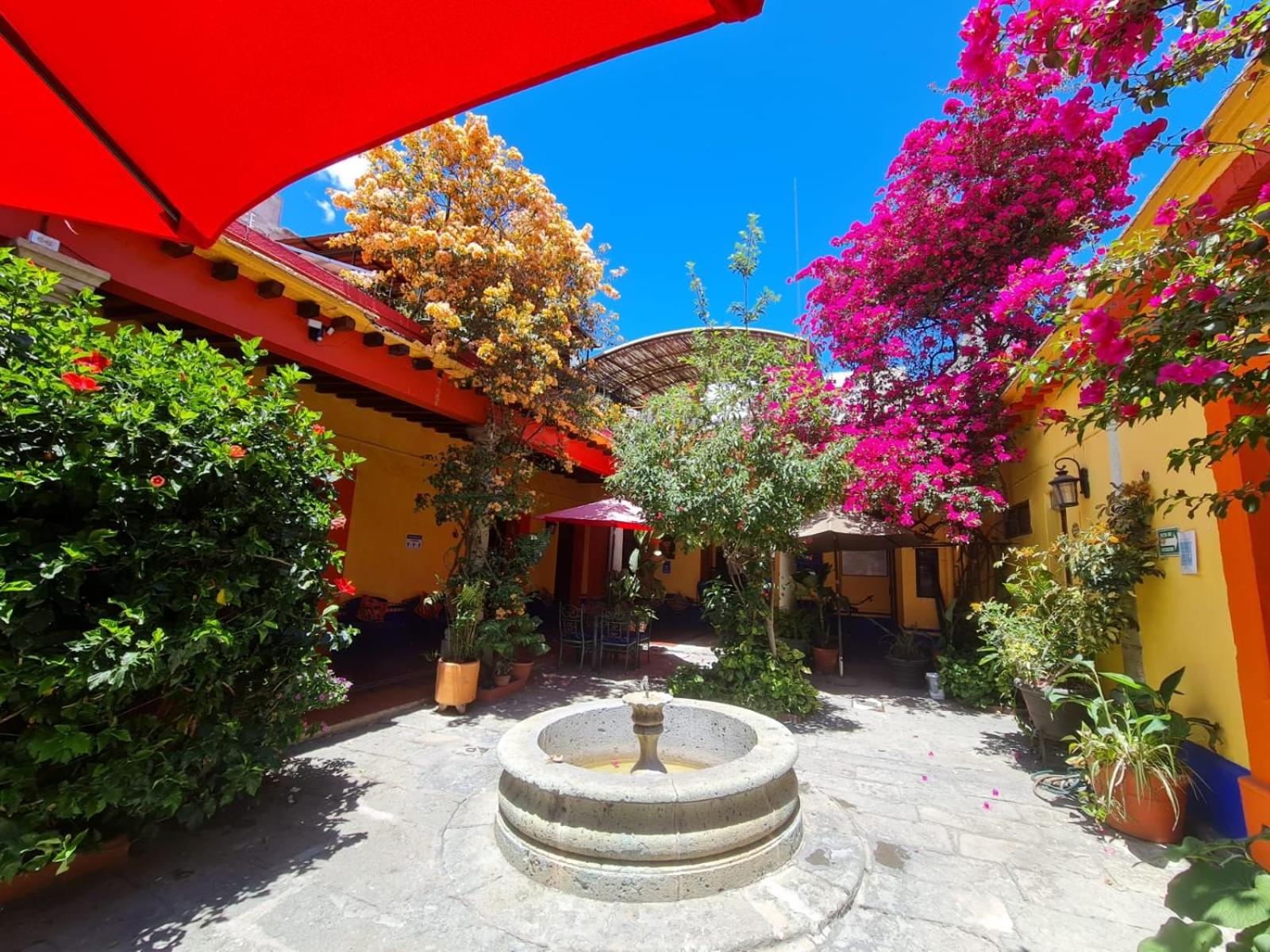 Hotel Posada del Centro - Property Image 92