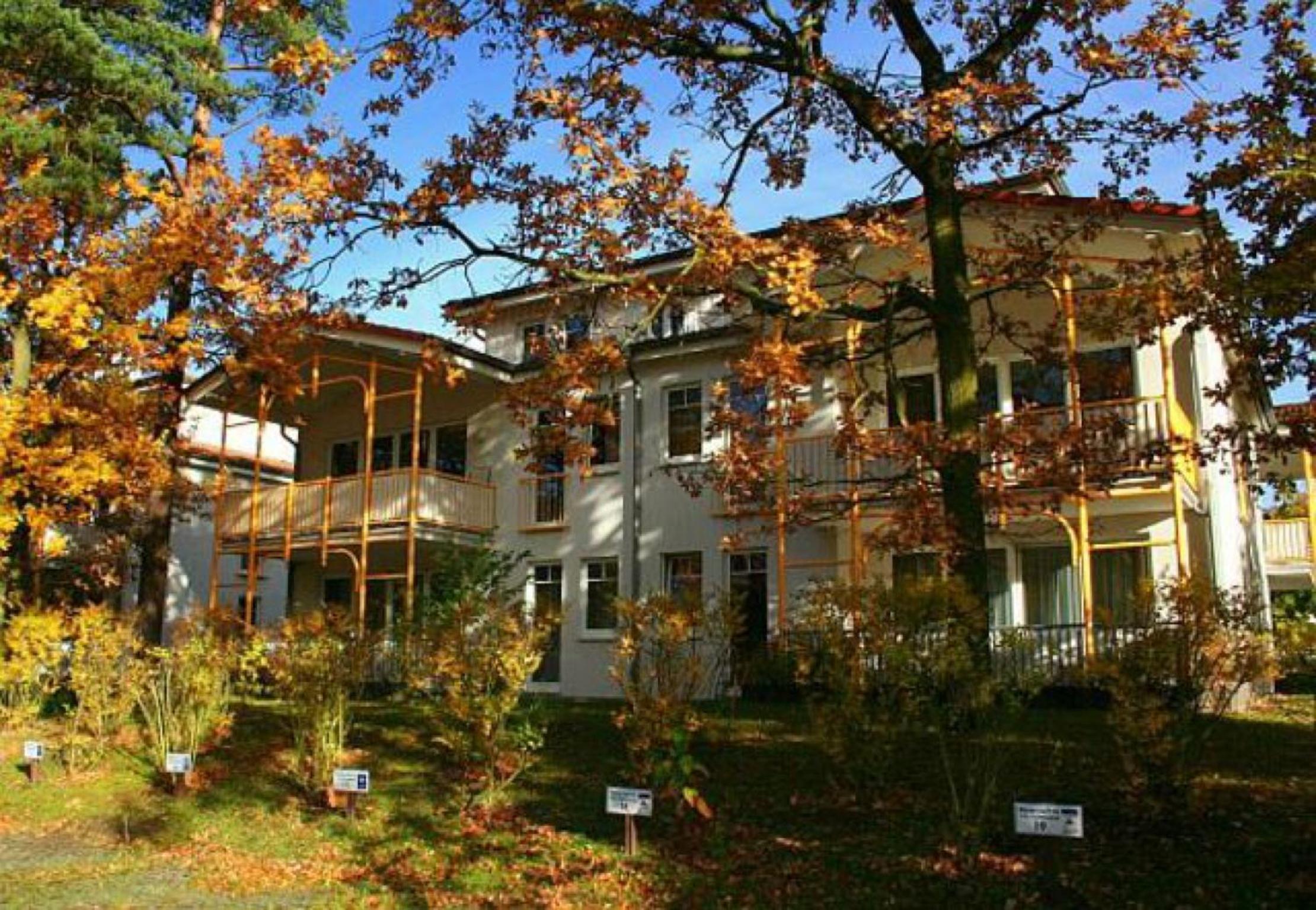 Störti's Nr 9 view 4