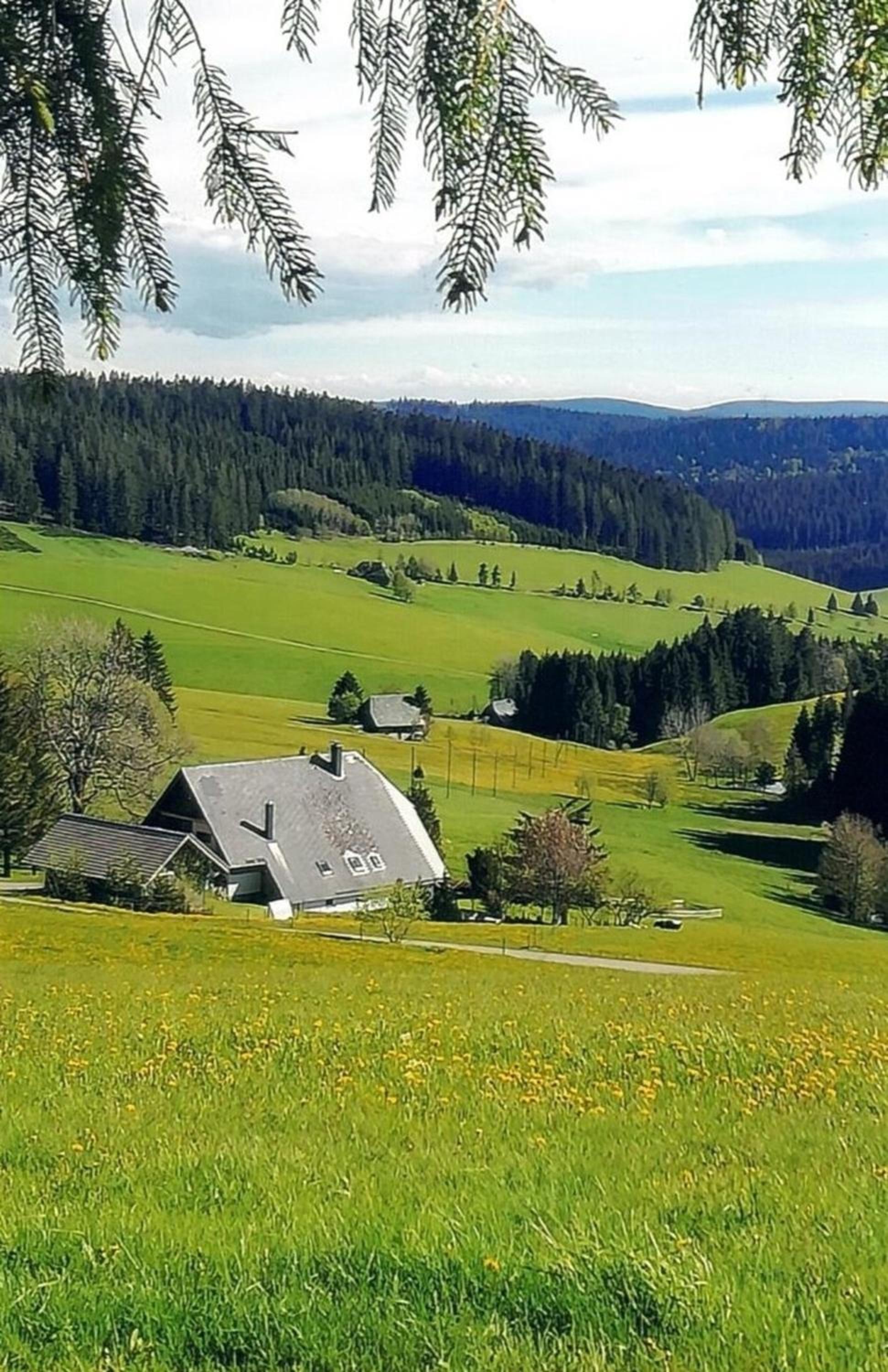 Sommerruhe view 2