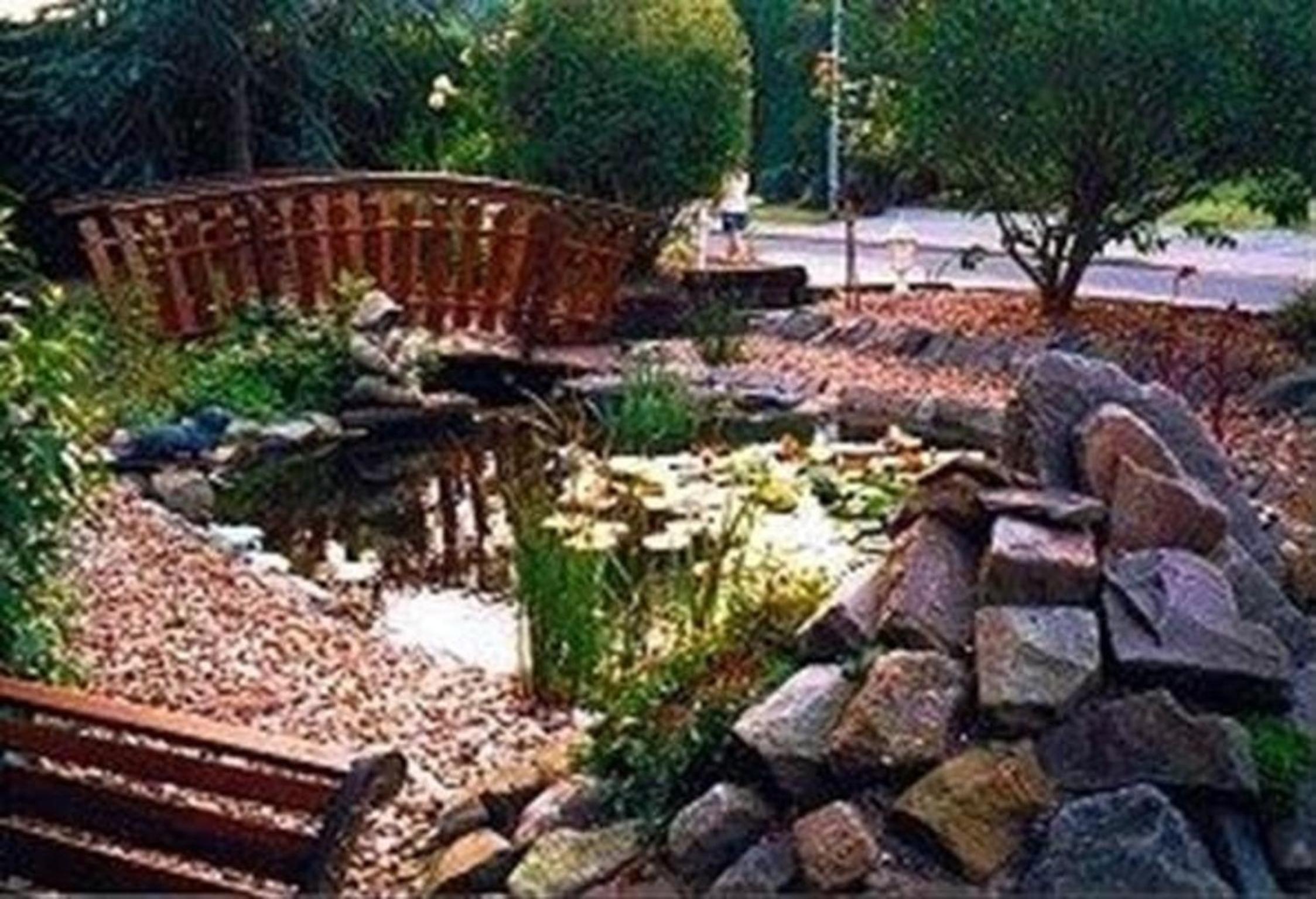 Photo 8