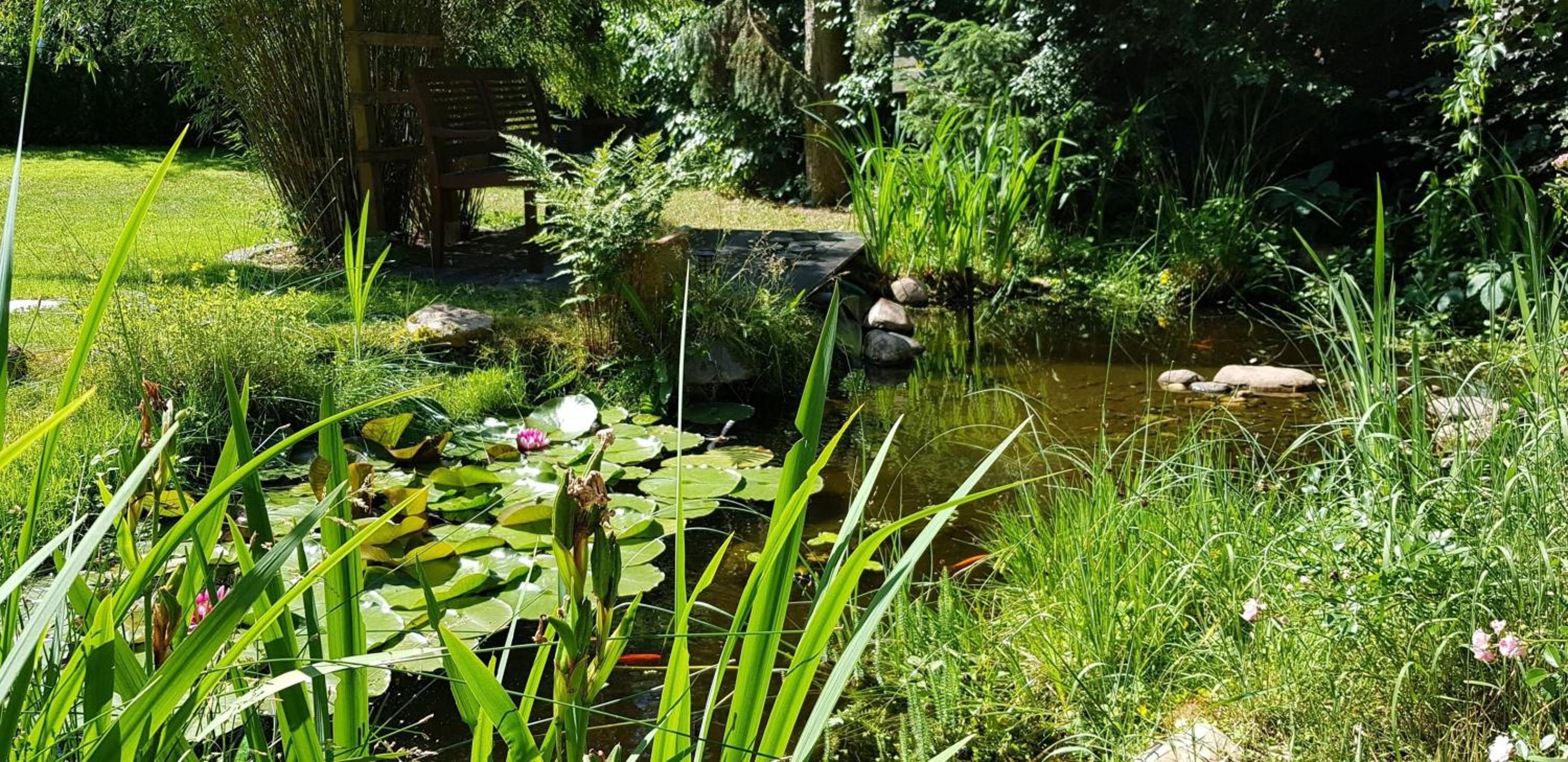 Ferienhaus Fichtenwalde view 4