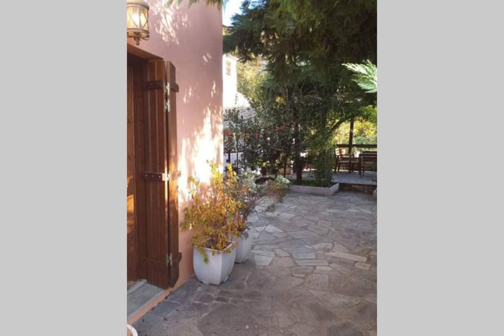 Pelion Cottage photo 5