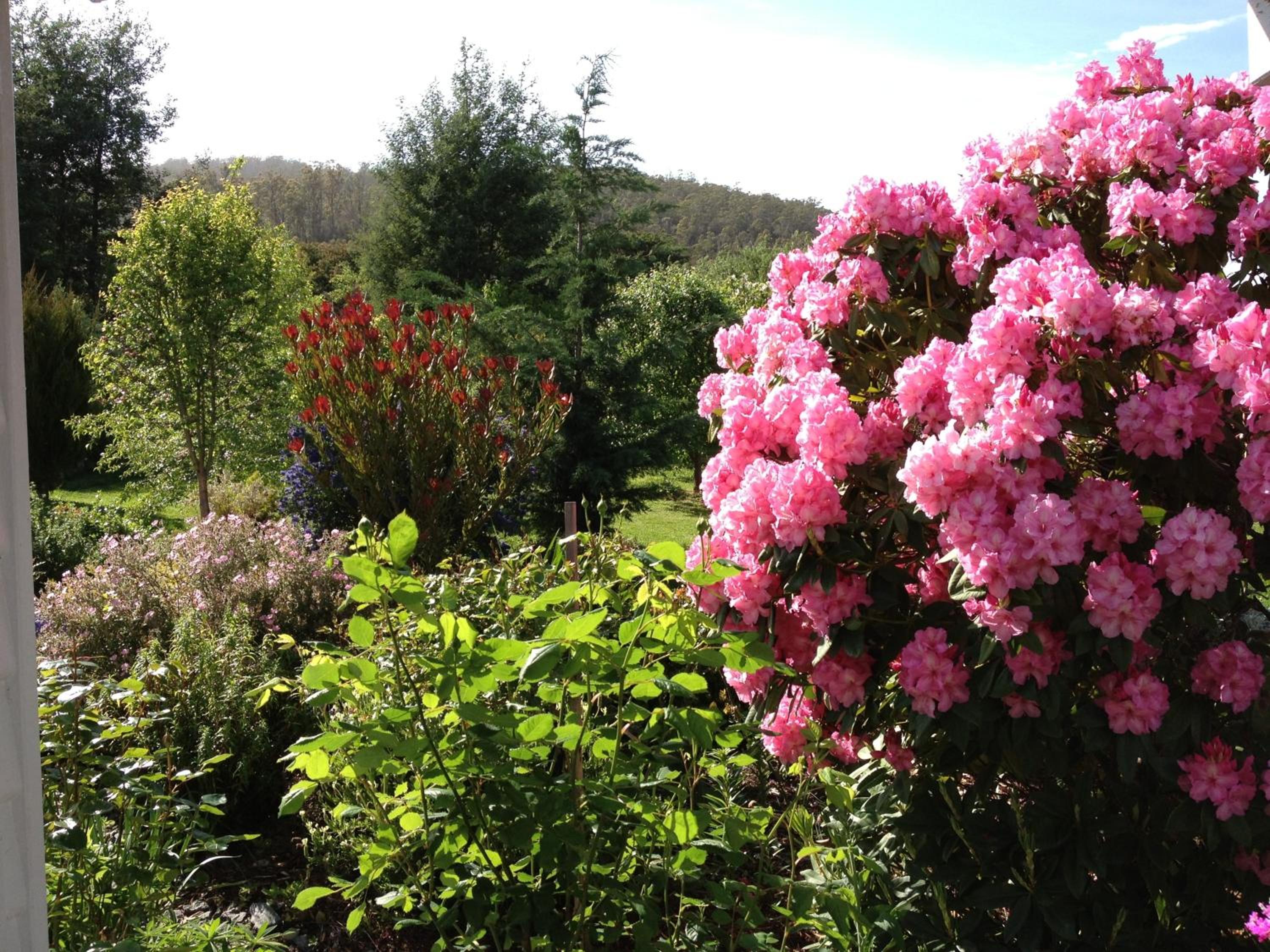 Hillside Bed and Breakfast