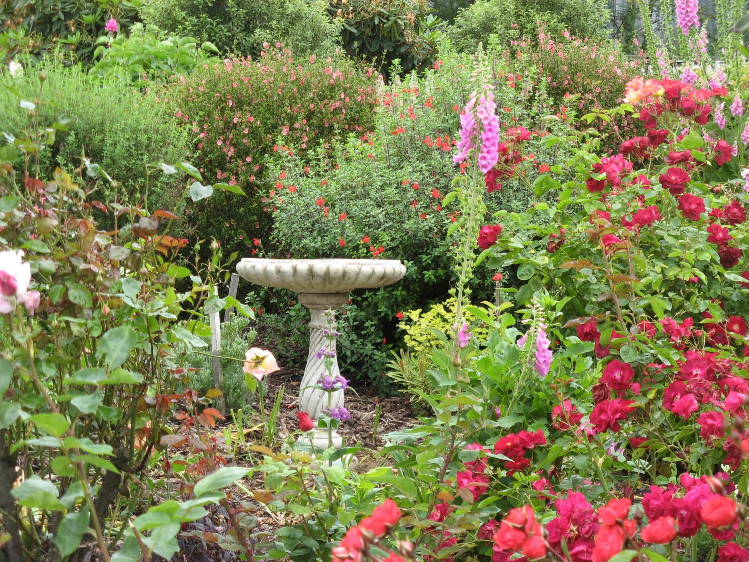 Hillside Bed and Breakfast