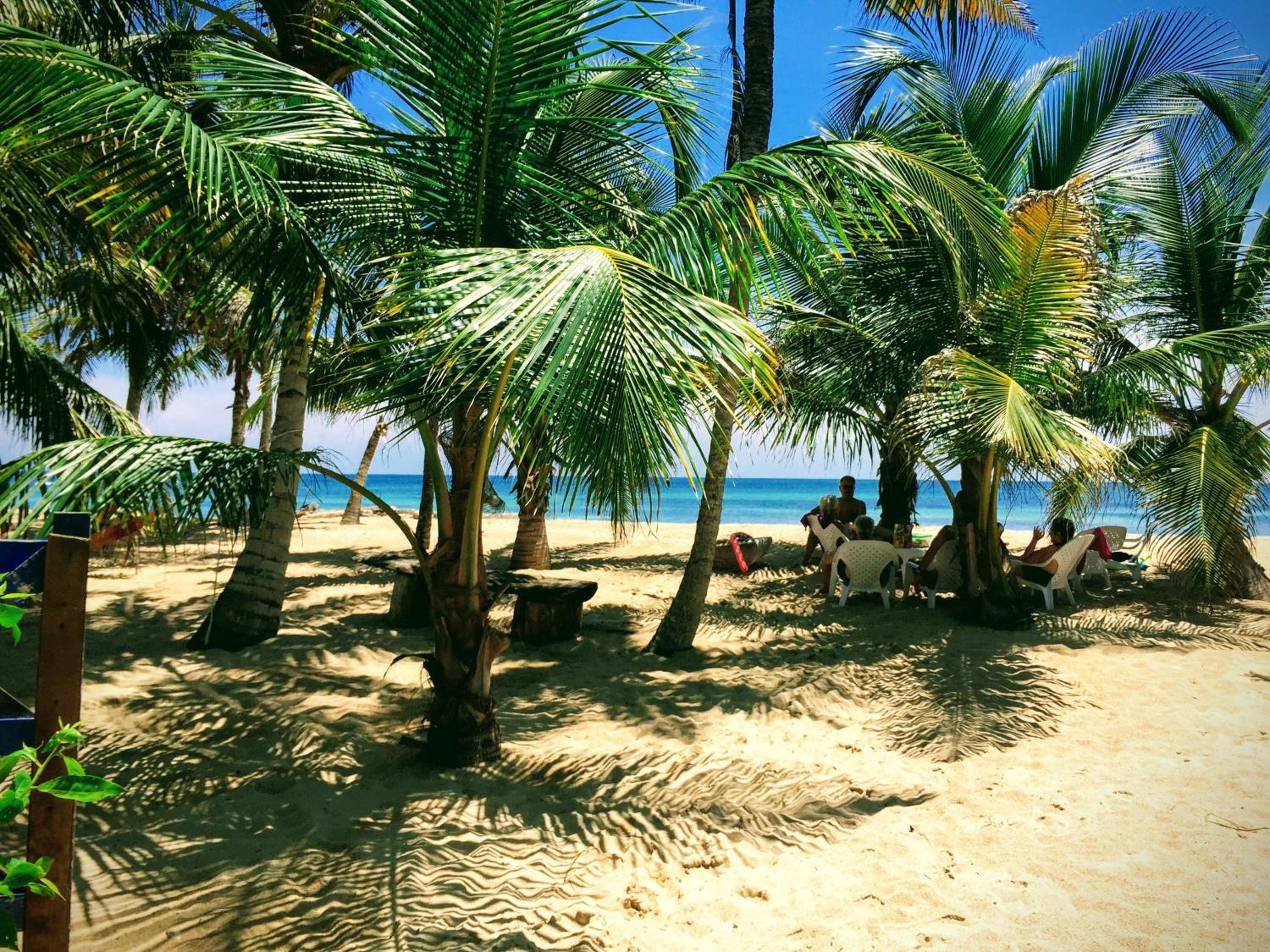 Cabaña sostenible Isla Fuerte