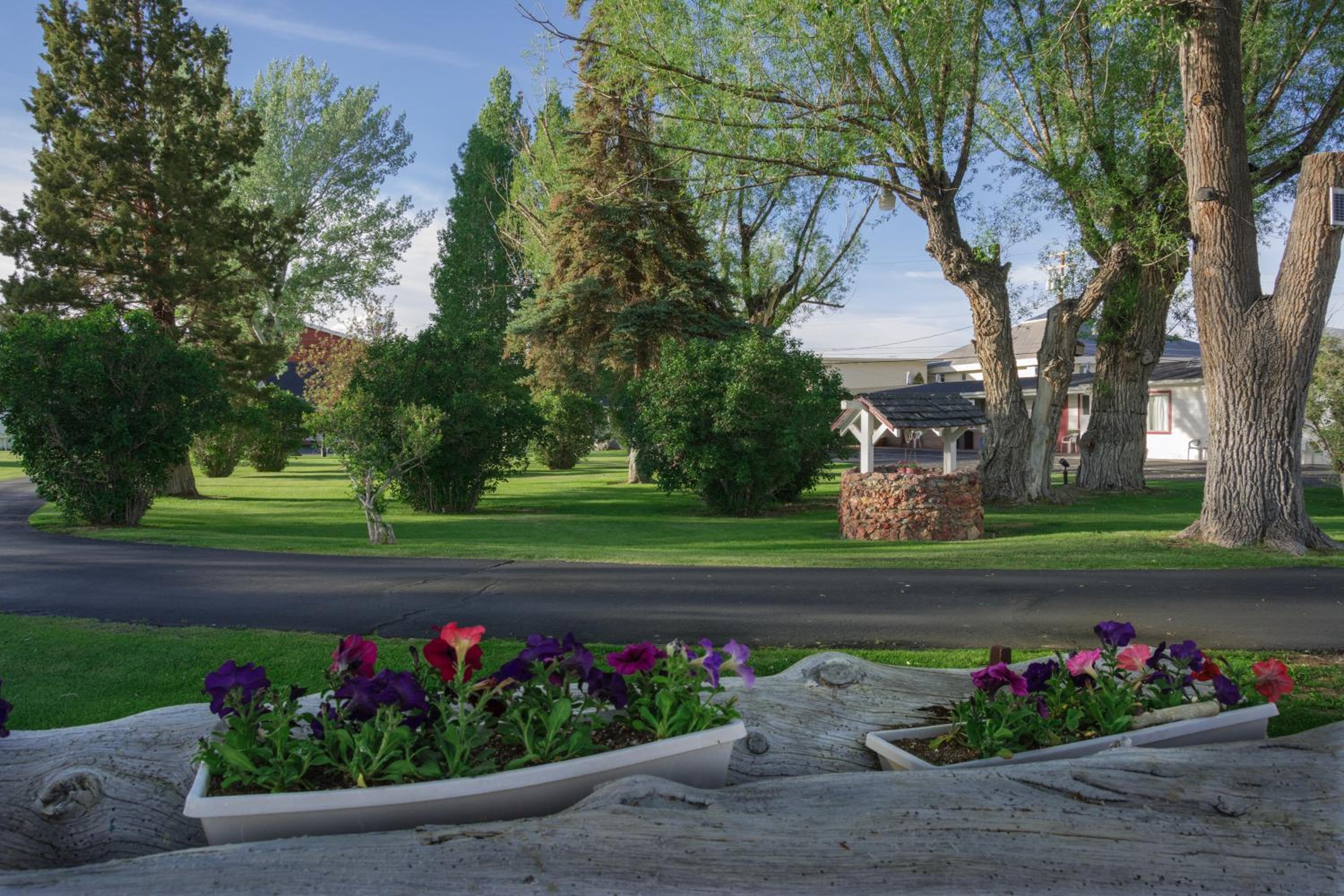 Silver Maple Inn