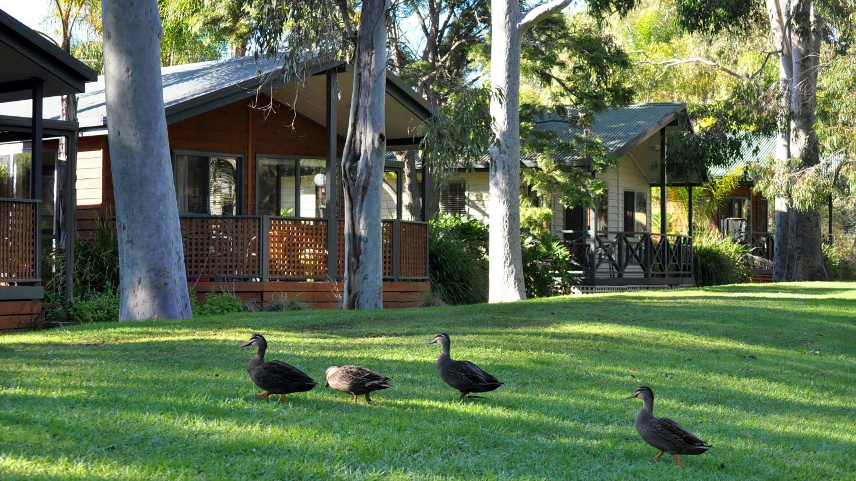 Marion Holiday Park
