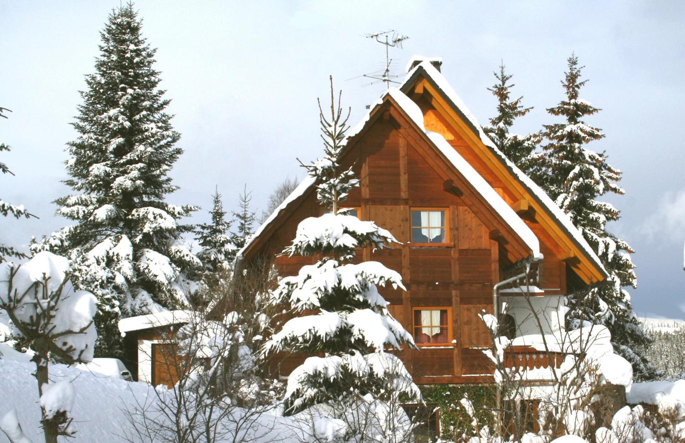 Ferienwohnung Seeblick Nr 3, 2 Zi-Bärental, Feldberg