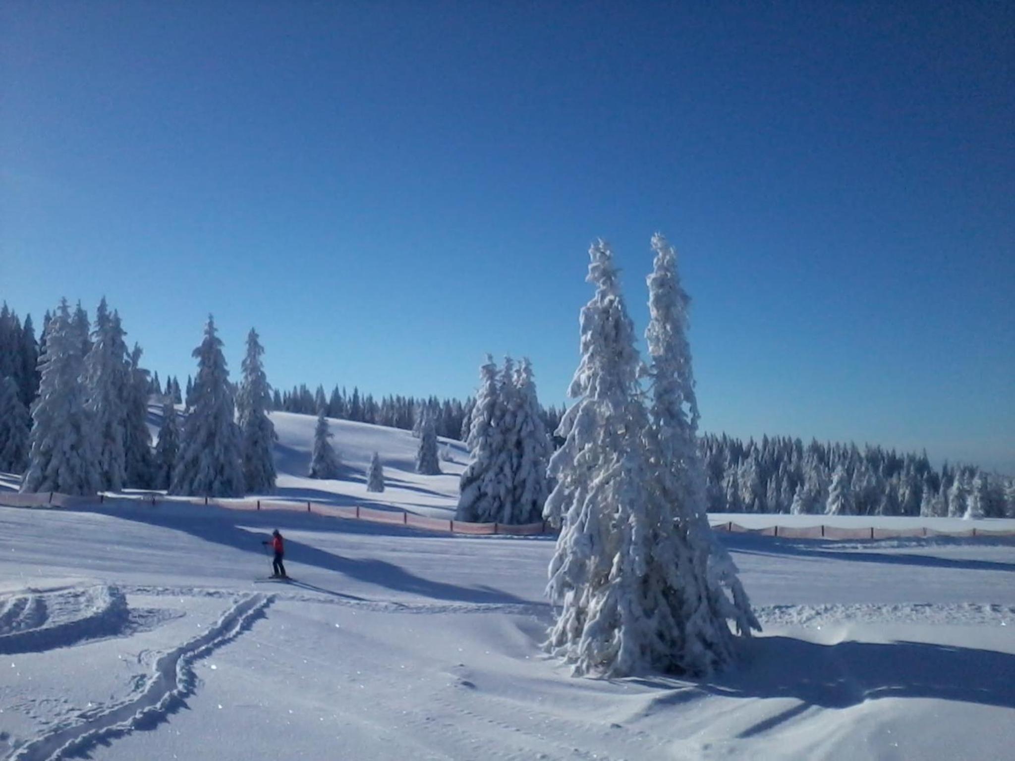 Ferienwohnung Seeblick Nr 3, 2 Zi-Bärental, Feldberg