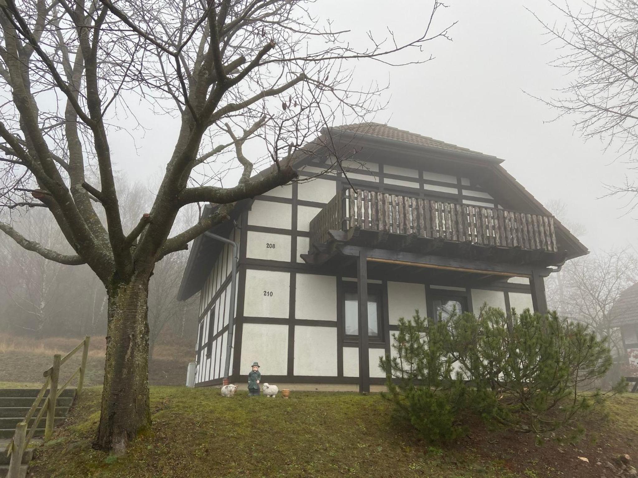 Ferienwohnung Mimo direkt am Waldrand view 5