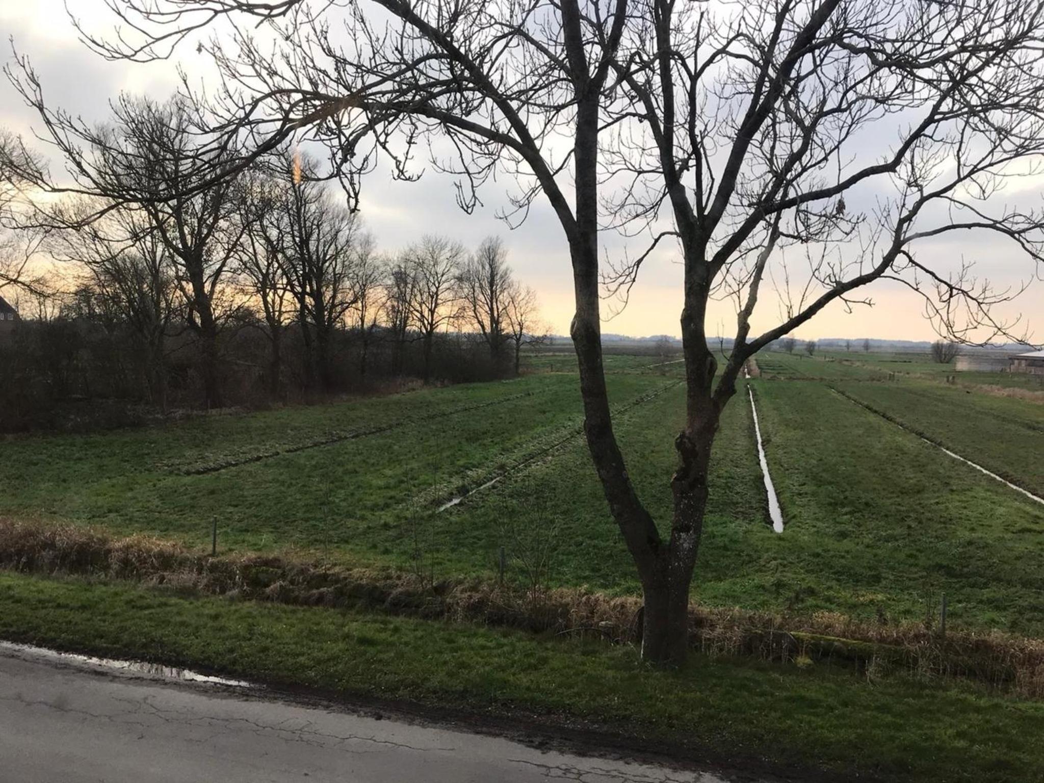 Ferienwohnung "Weitblick" in Schlichting view 4