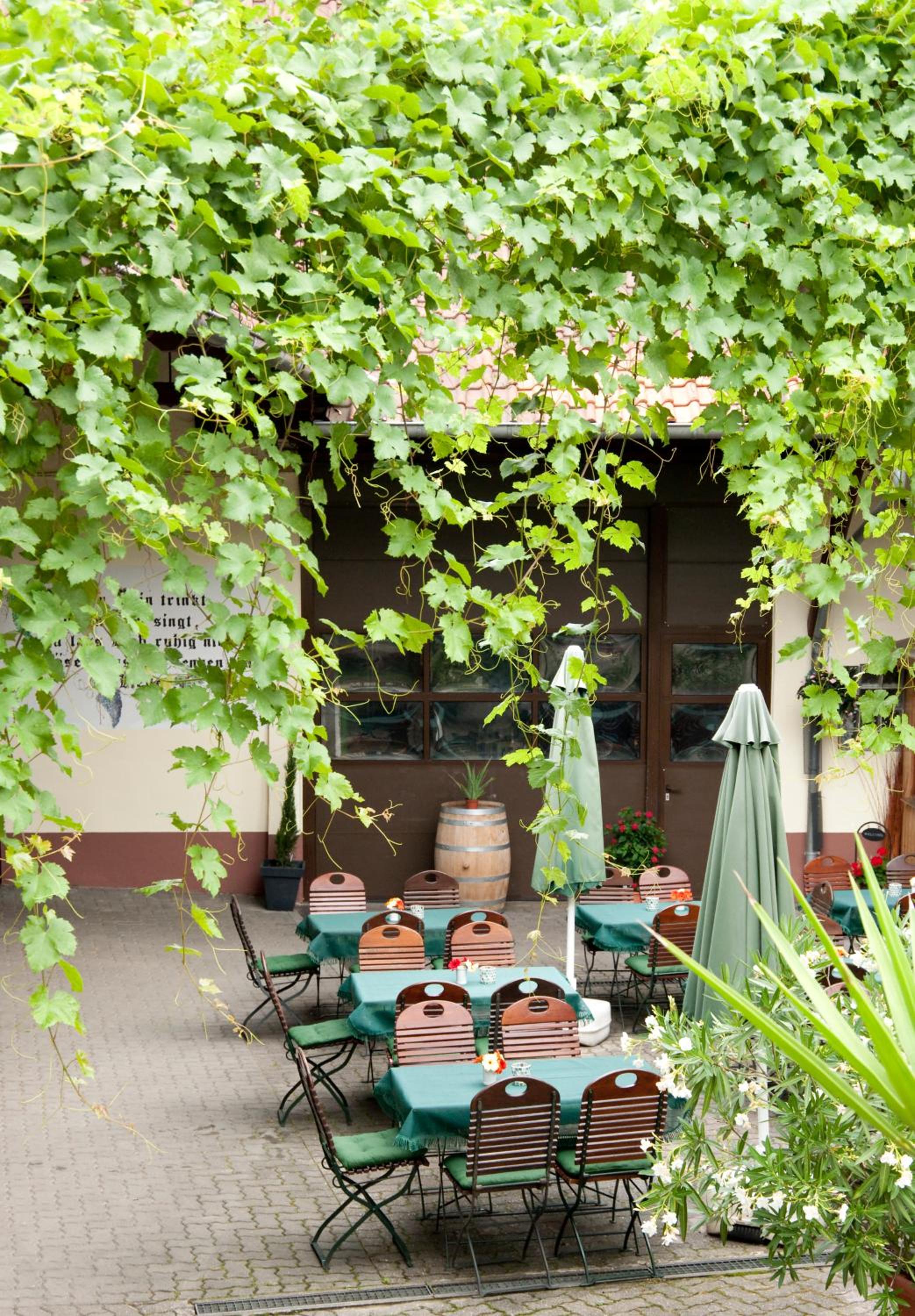 Weingut und Gästehaus Vongerichten