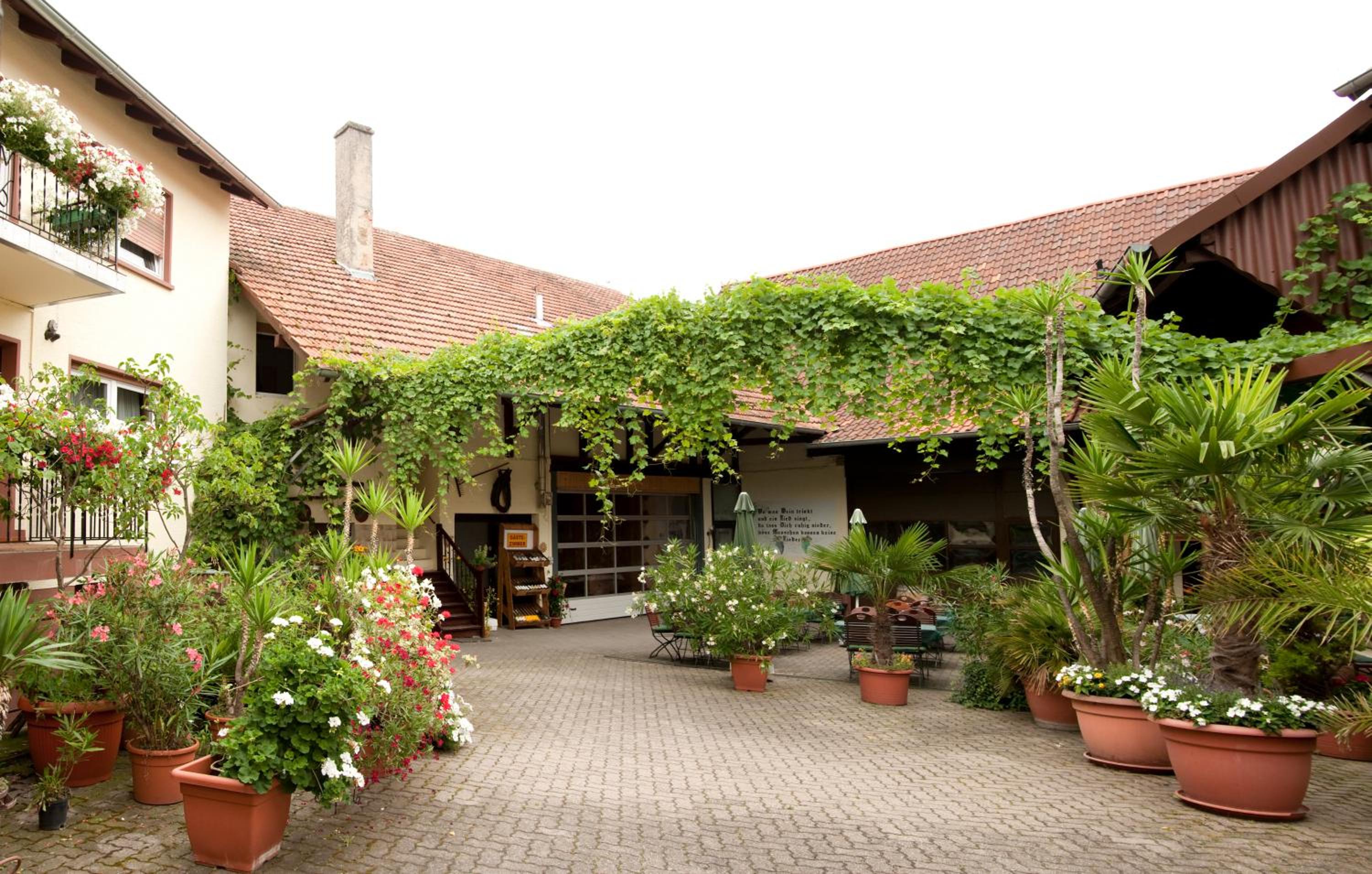 Weingut und Gästehaus Vongerichten