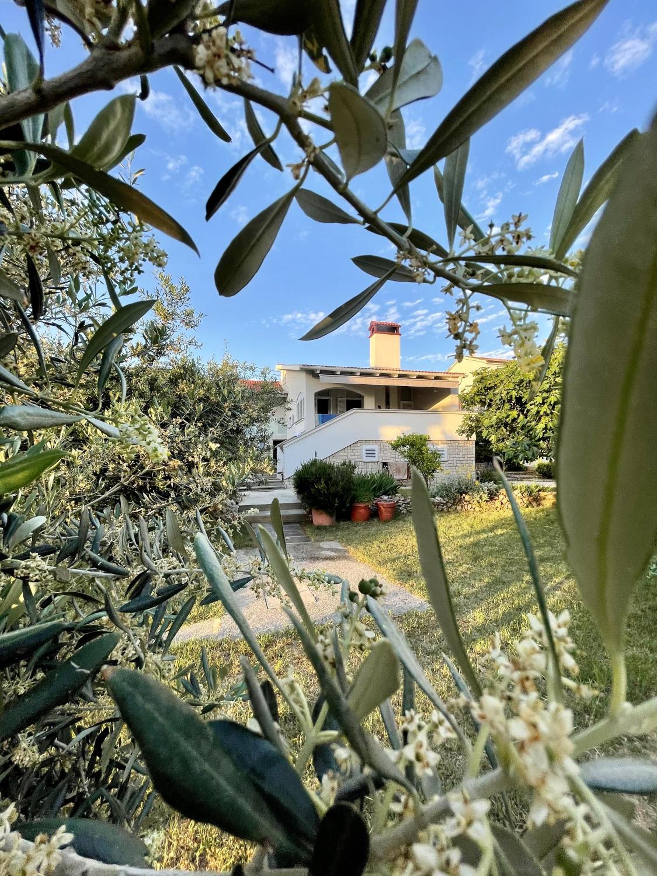 Vacation Family House on the Beach view 4