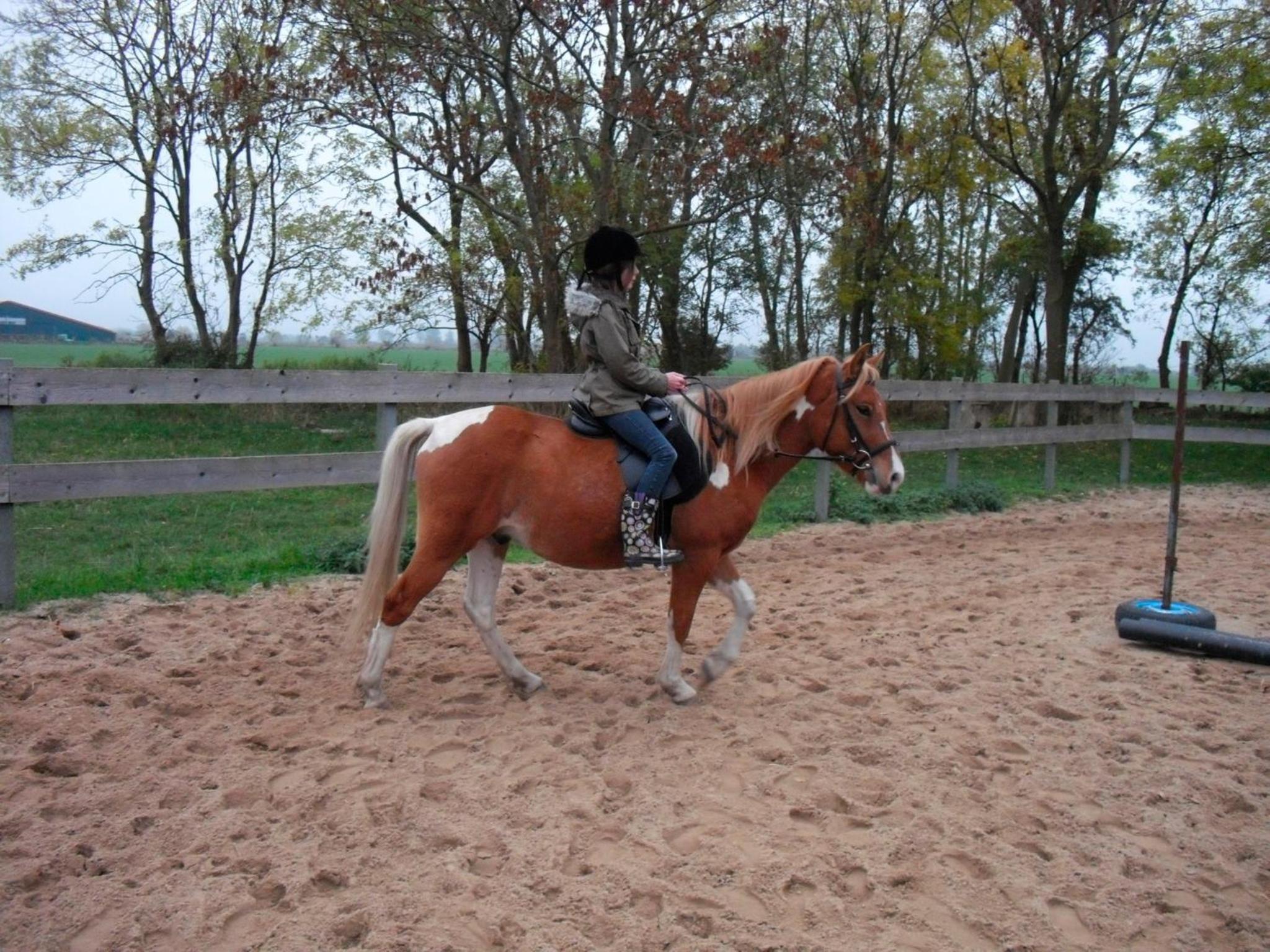 Photo 12