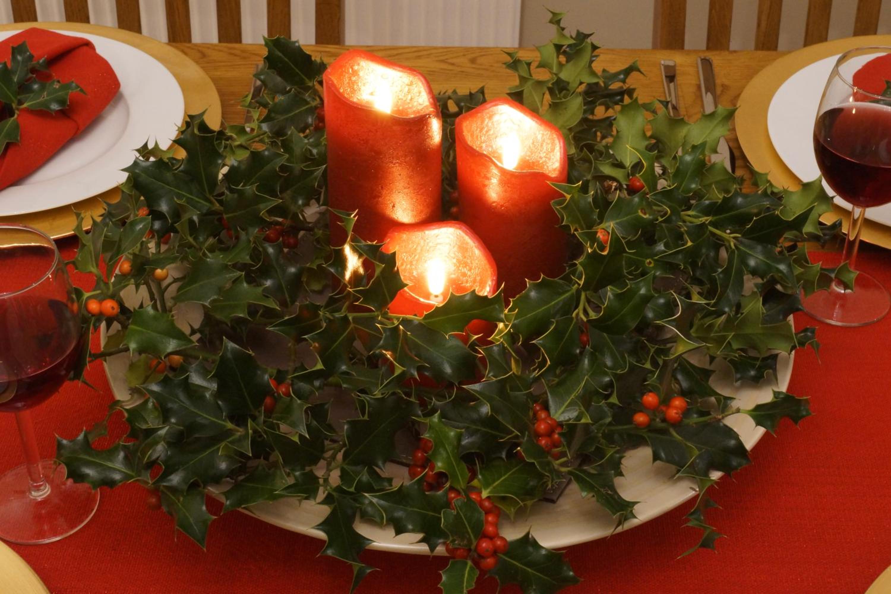 Photo 12