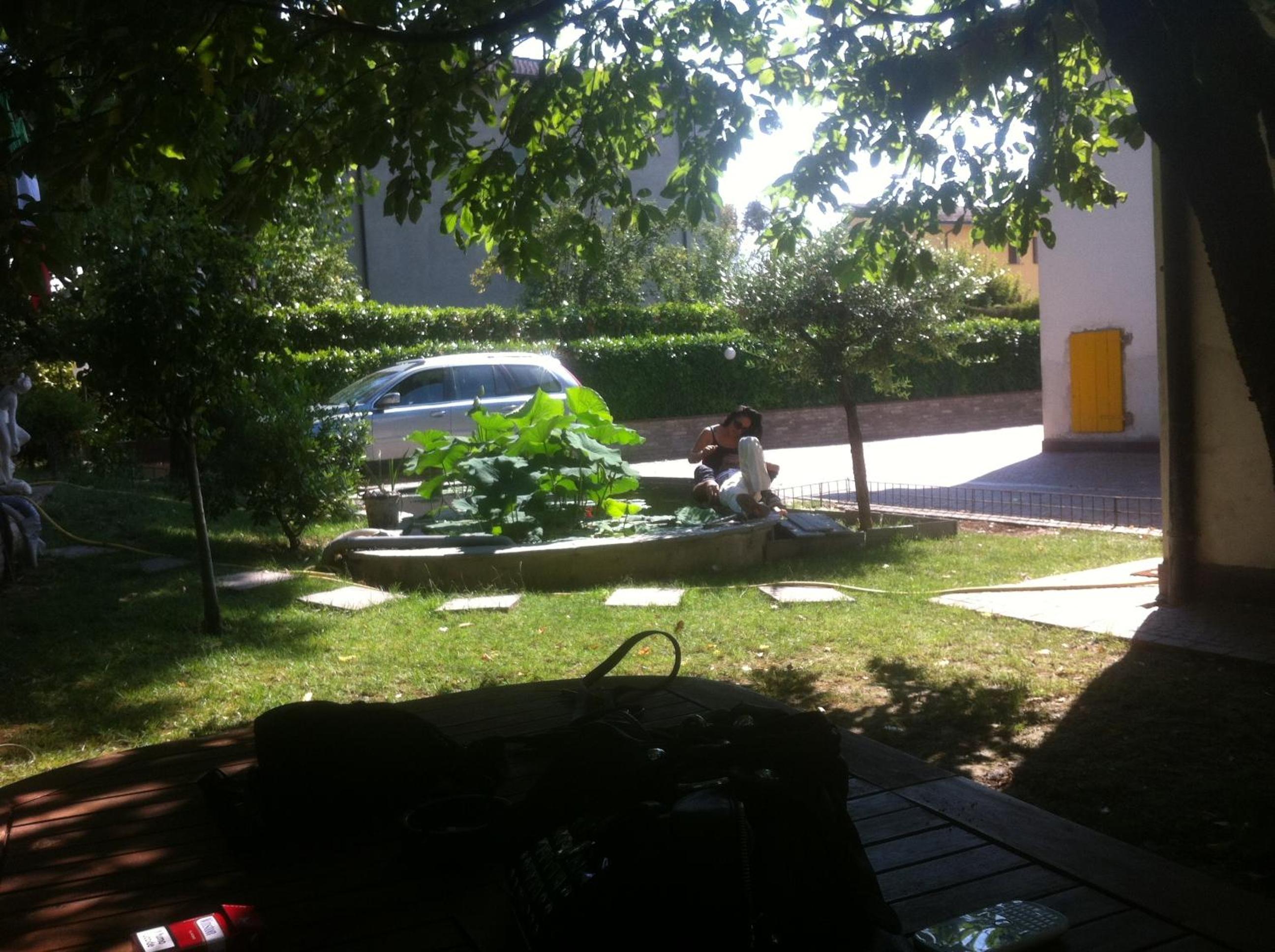 Photo 43