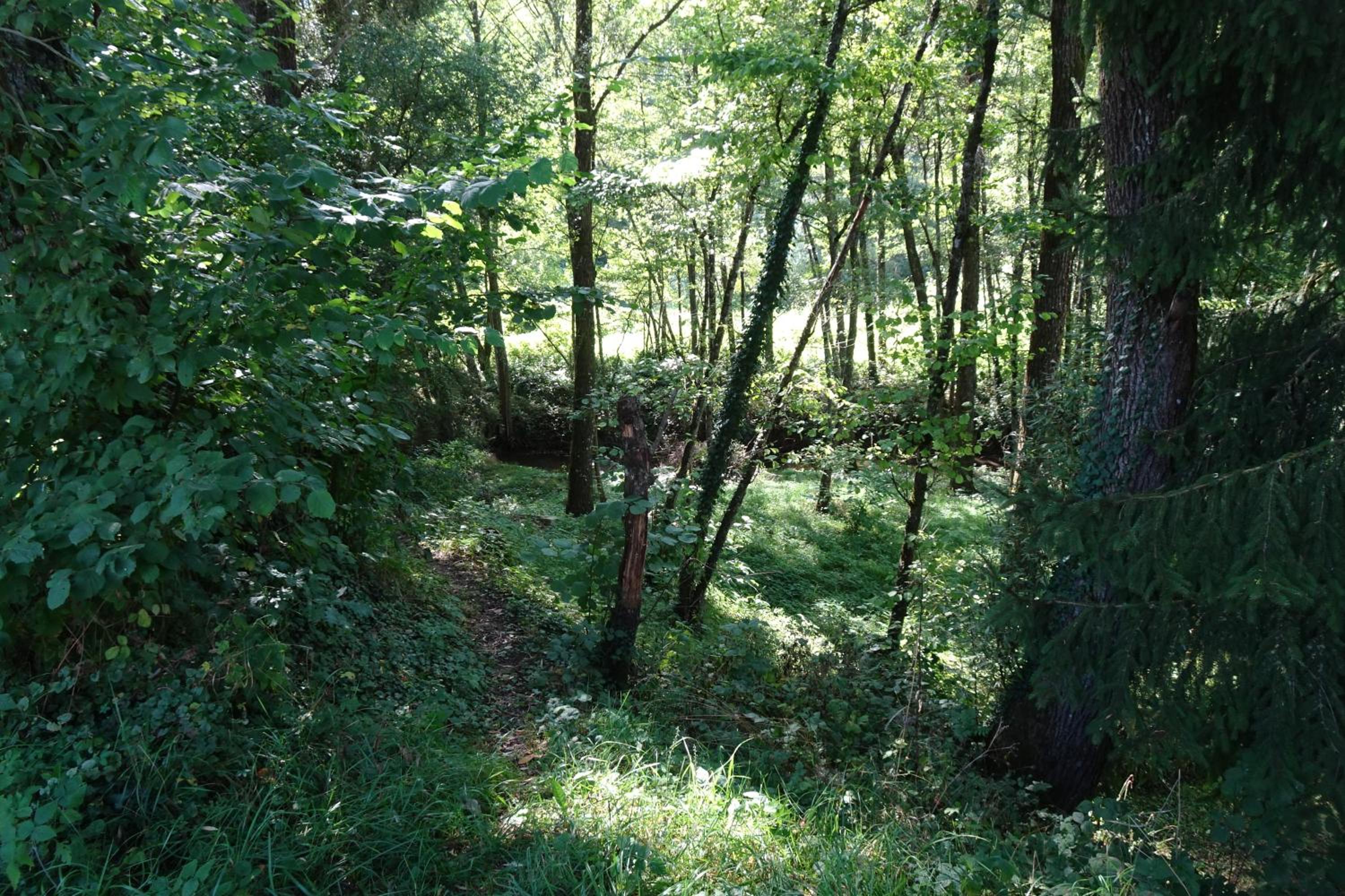La Halte, photo 30
