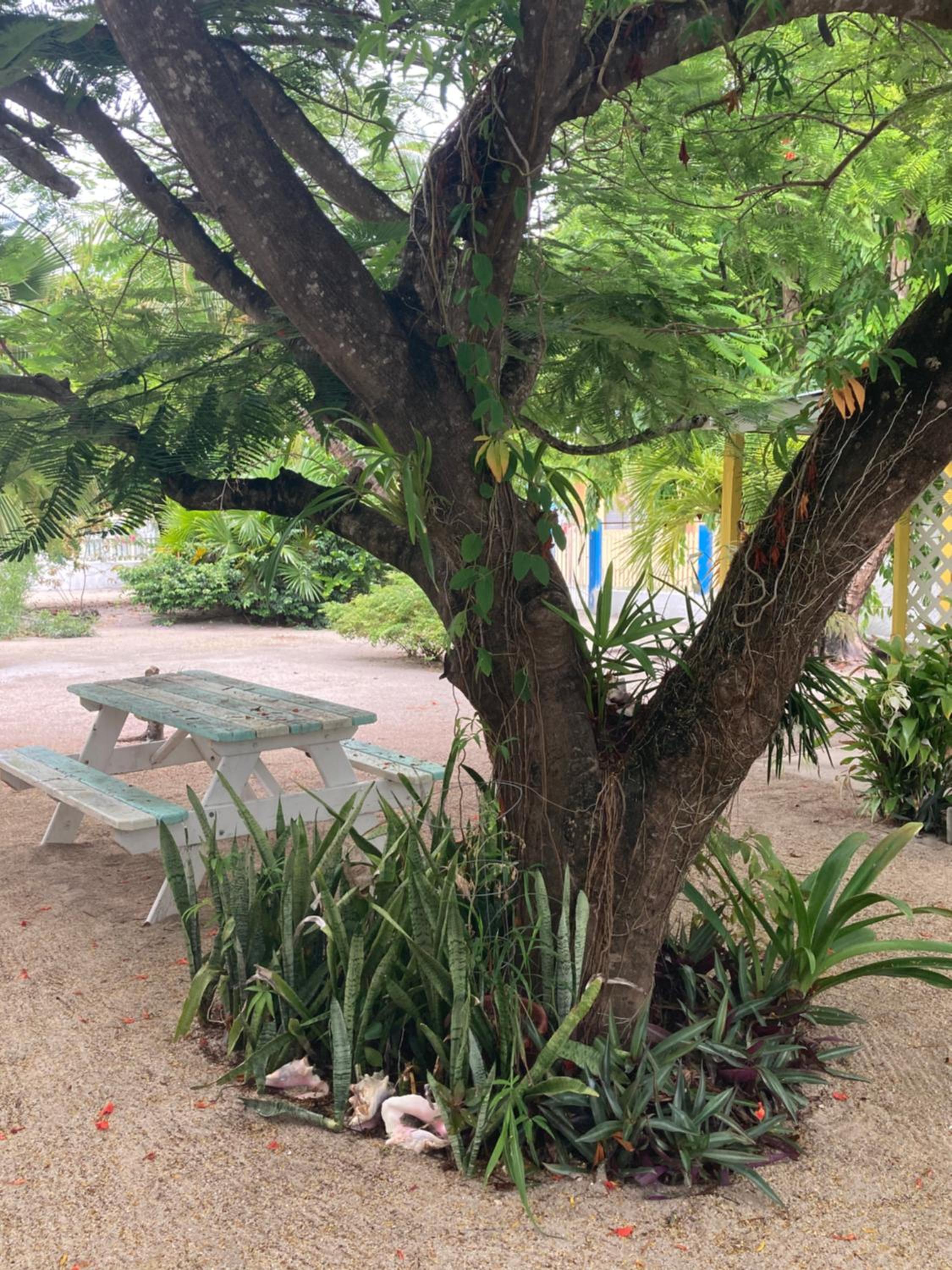 Photo 17