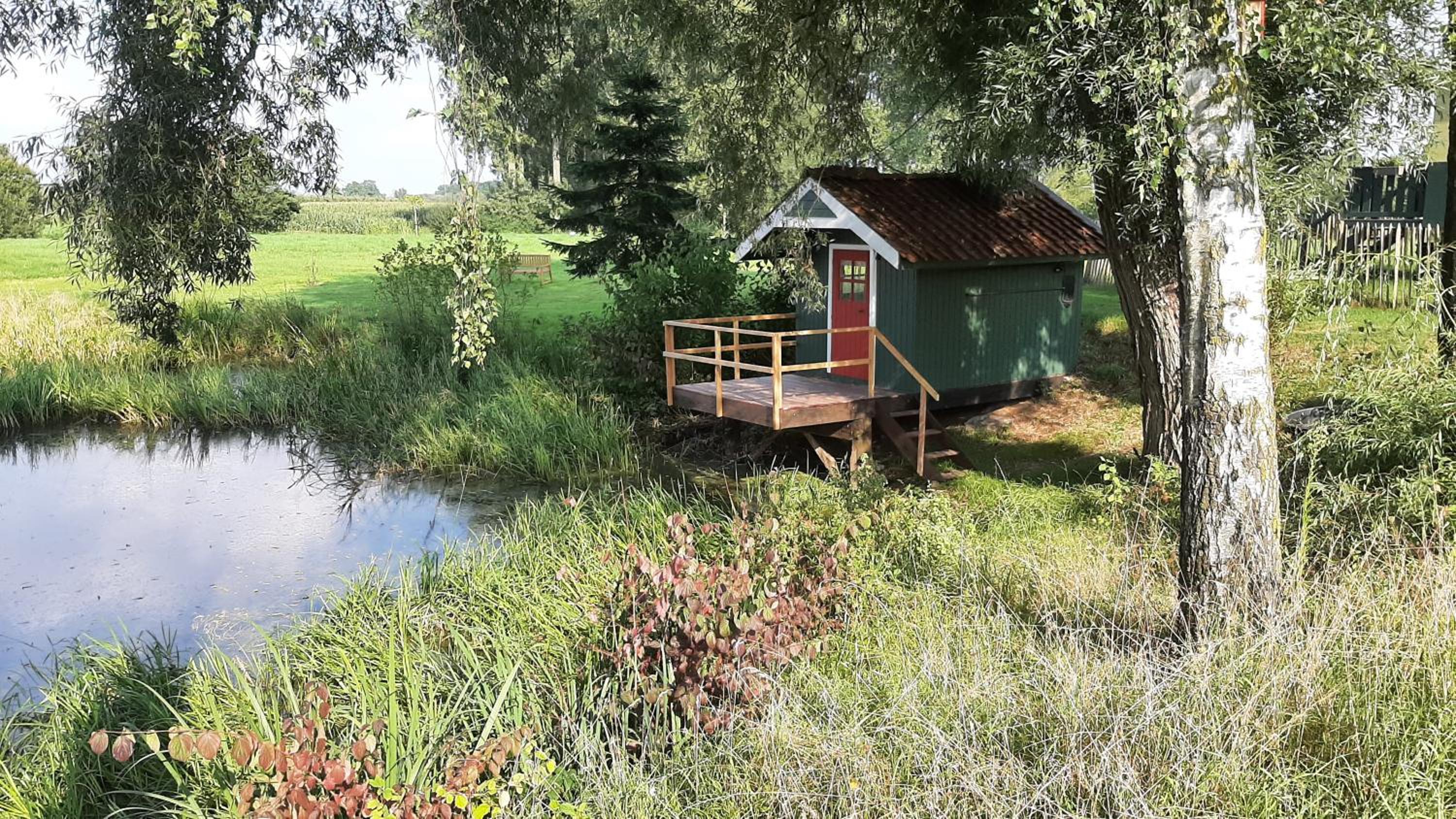 Photo 19