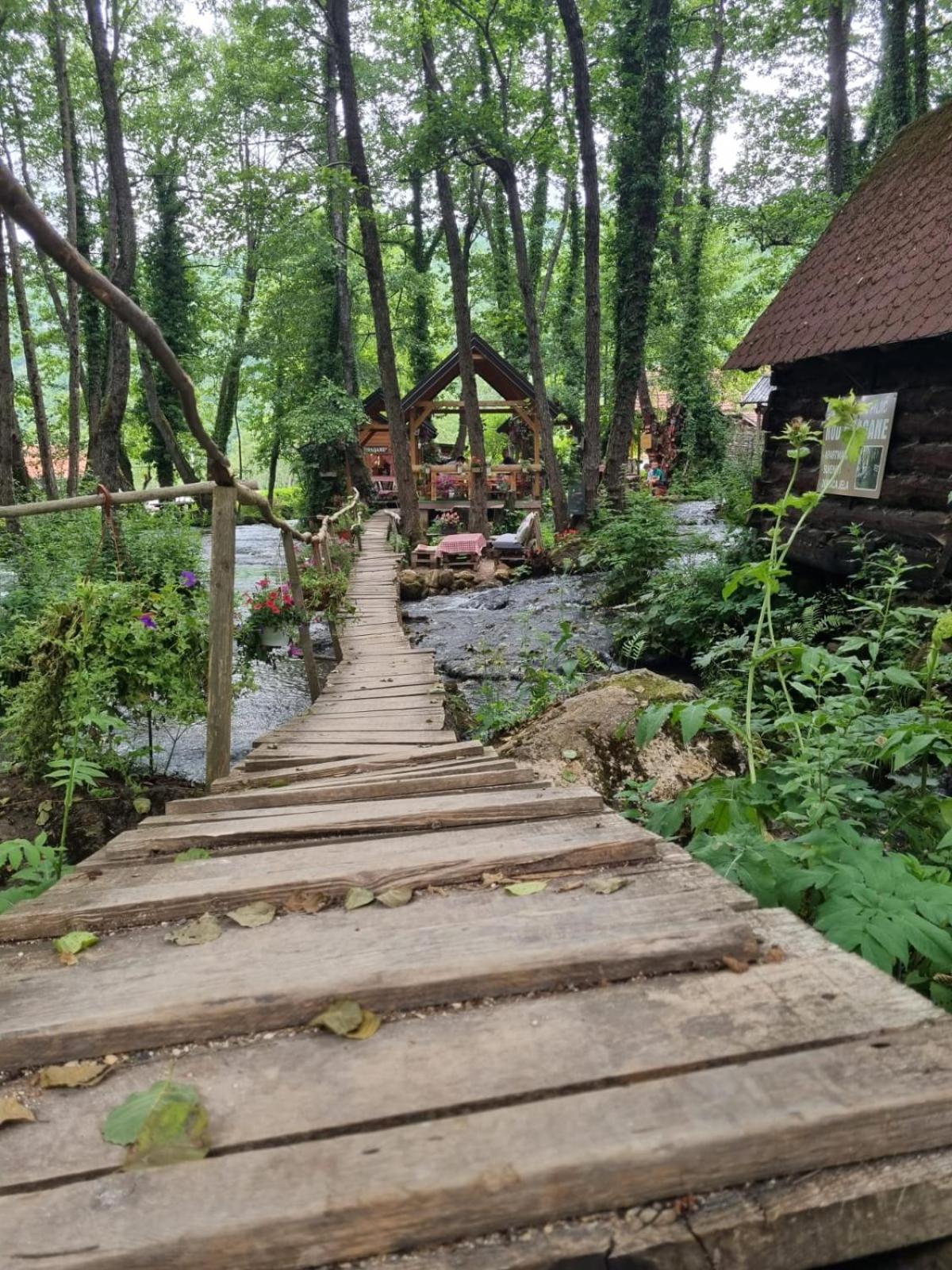 Pension Seeblick Purbach